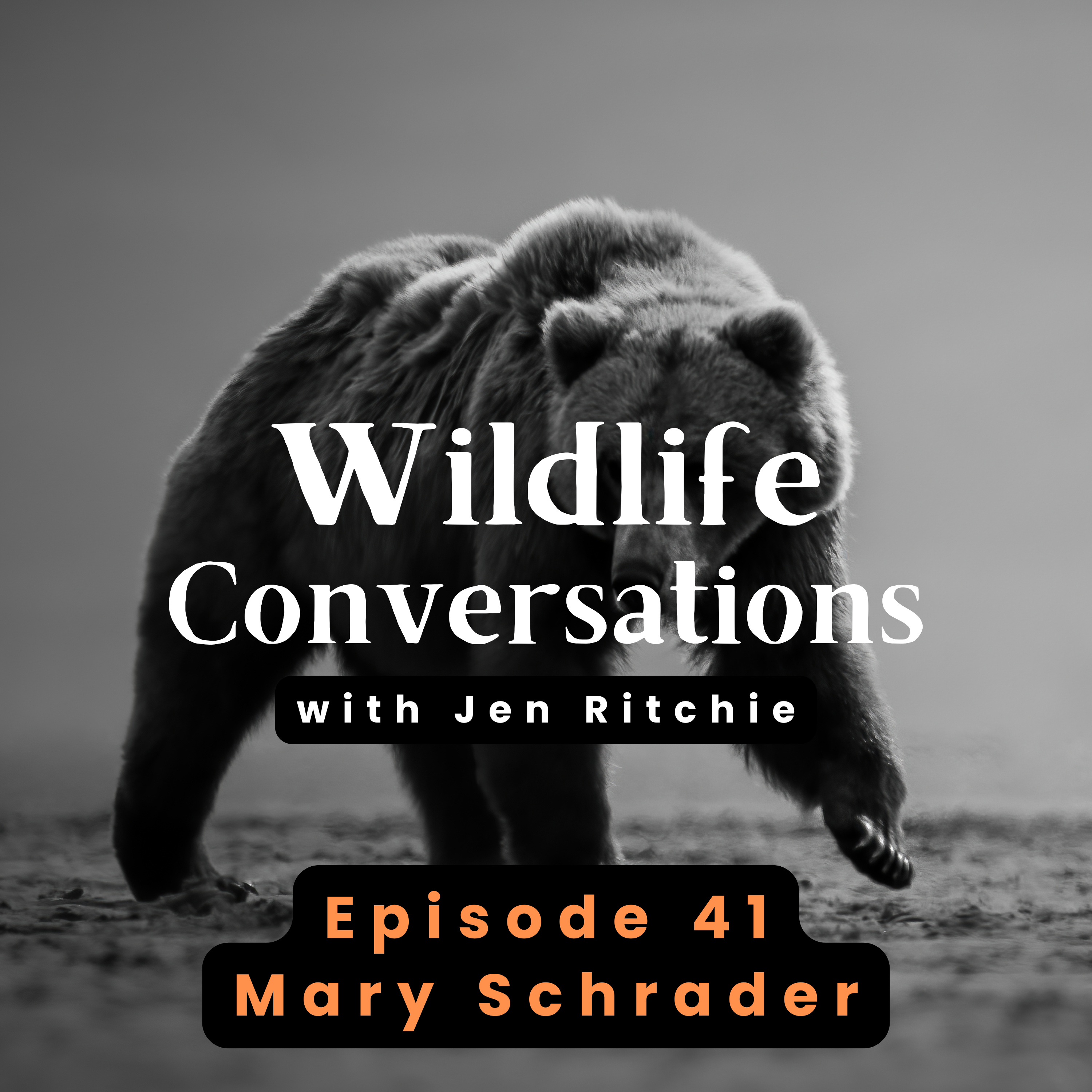 Wildlife Conversations with Jen Ritchie