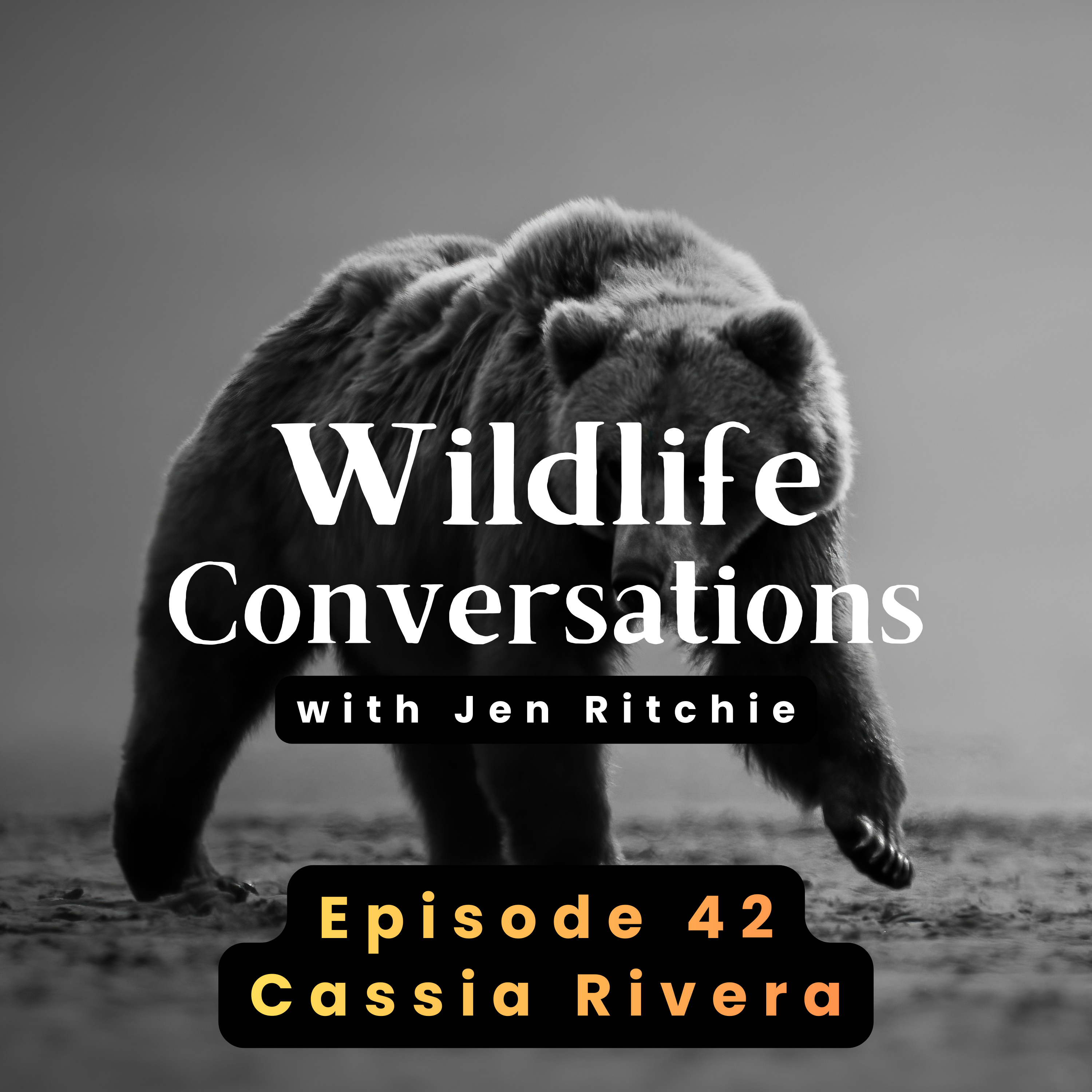 Wildlife Conversations with Jen Ritchie