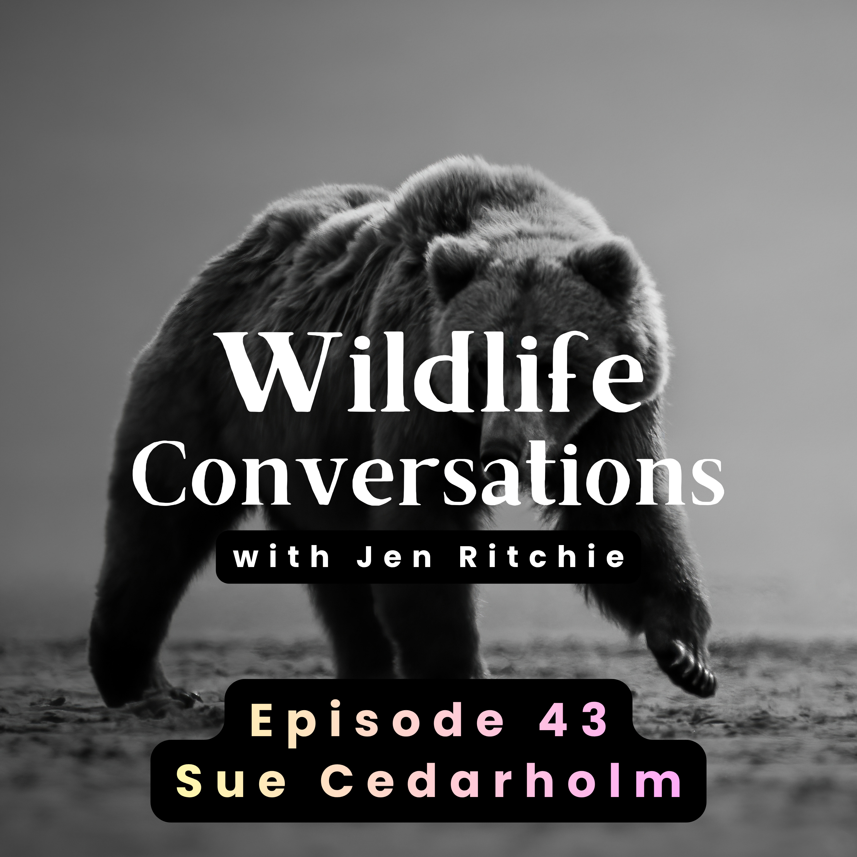 Wildlife Conversations with Jen Ritchie