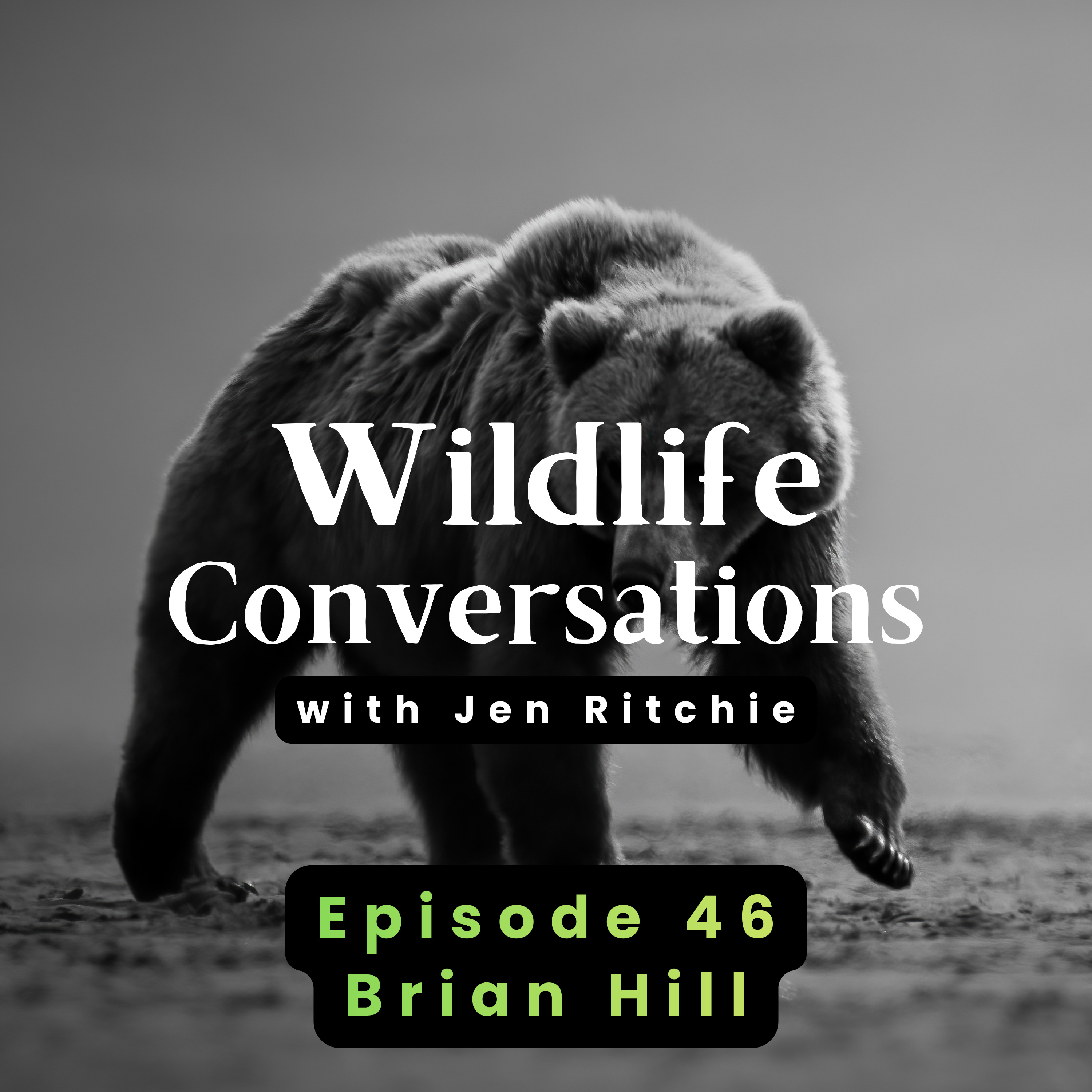 Wildlife Conversations with Jen Ritchie