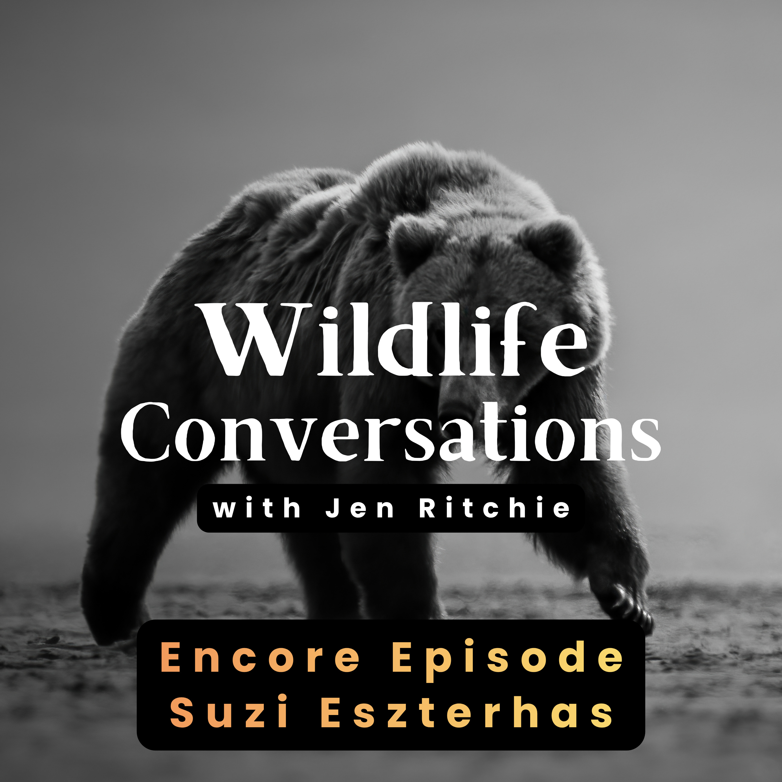 Wildlife Conversations with Jen Ritchie