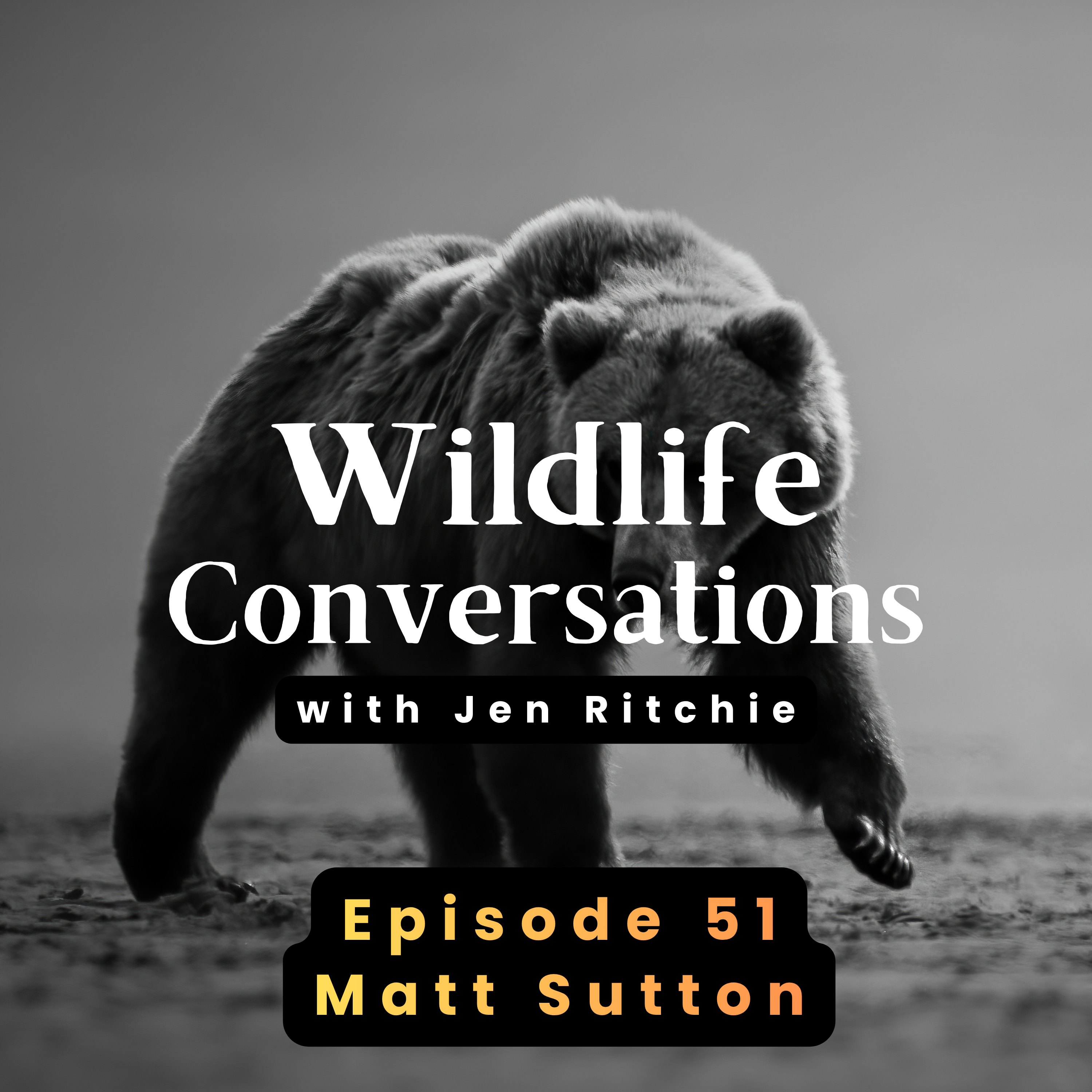 Ep 51: Wildlife Photographer Matt Sutton Shares Joy in Taking the Trip & Telling the Bigger Story episode artwork