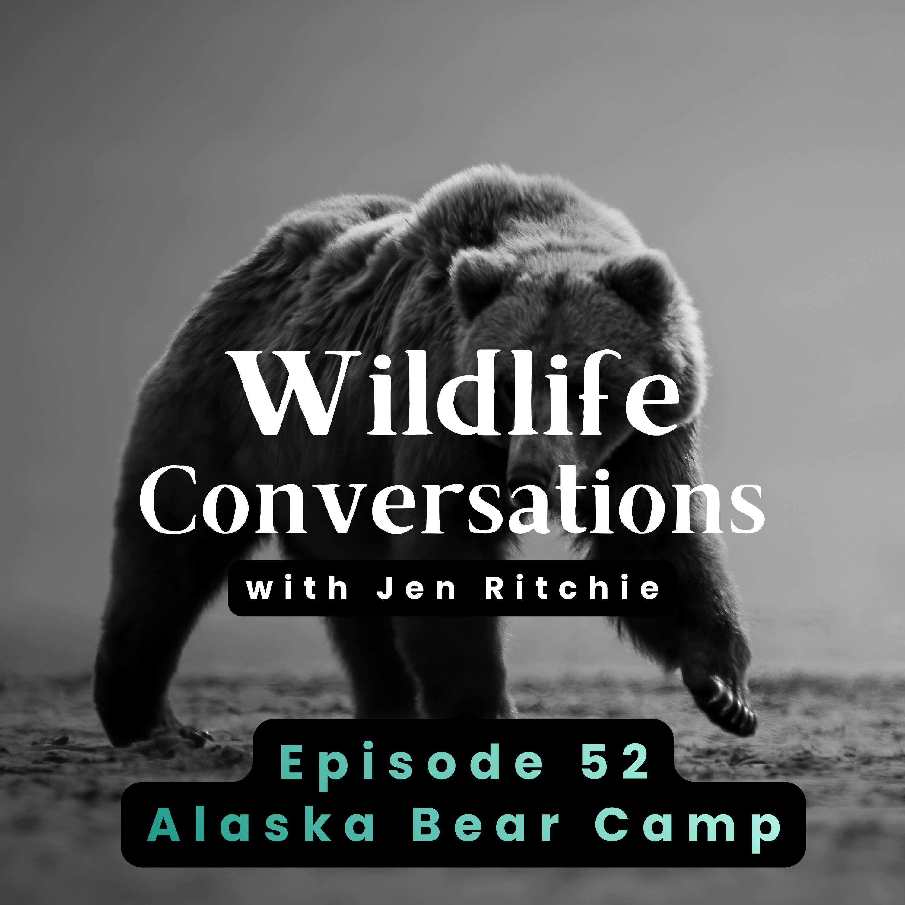 Ep 52: Katmai Bear Camp Crew Recaps Bears, Gear, & Things Money Can't Buy for Pod 2-Year Anniversary episode artwork