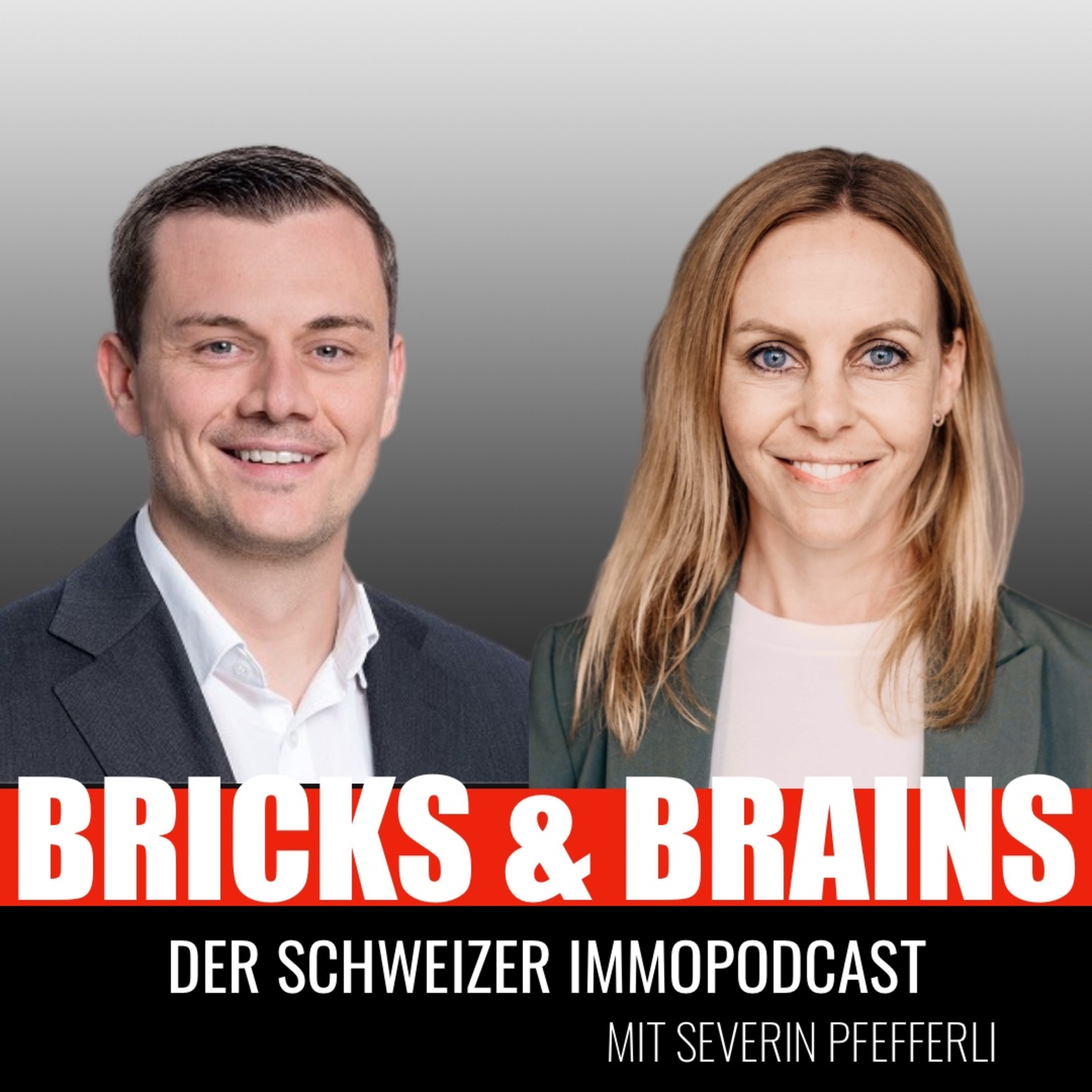 Bricks and Brains - Schweizer Immobilien