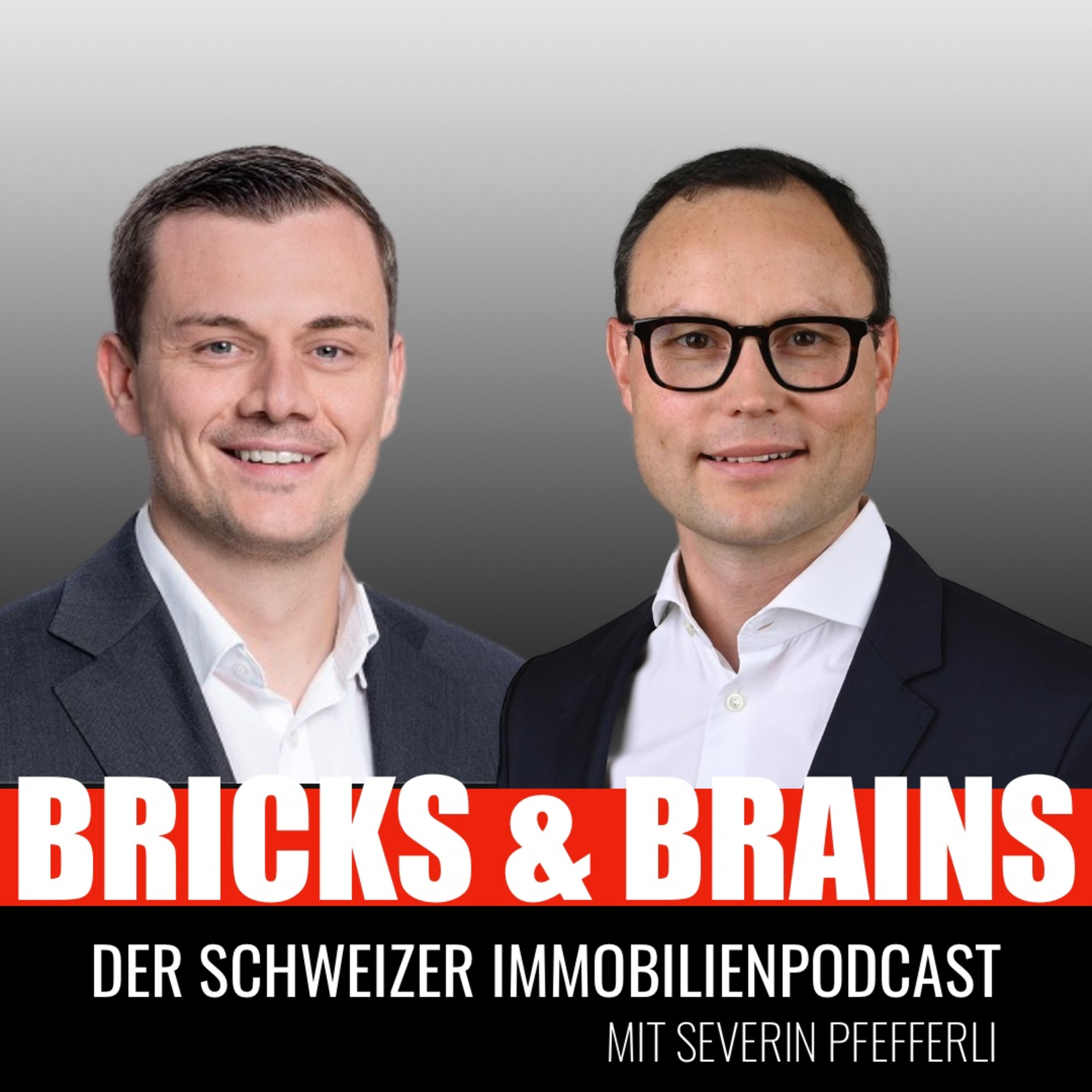 Bricks and Brains - Schweizer Immobilien