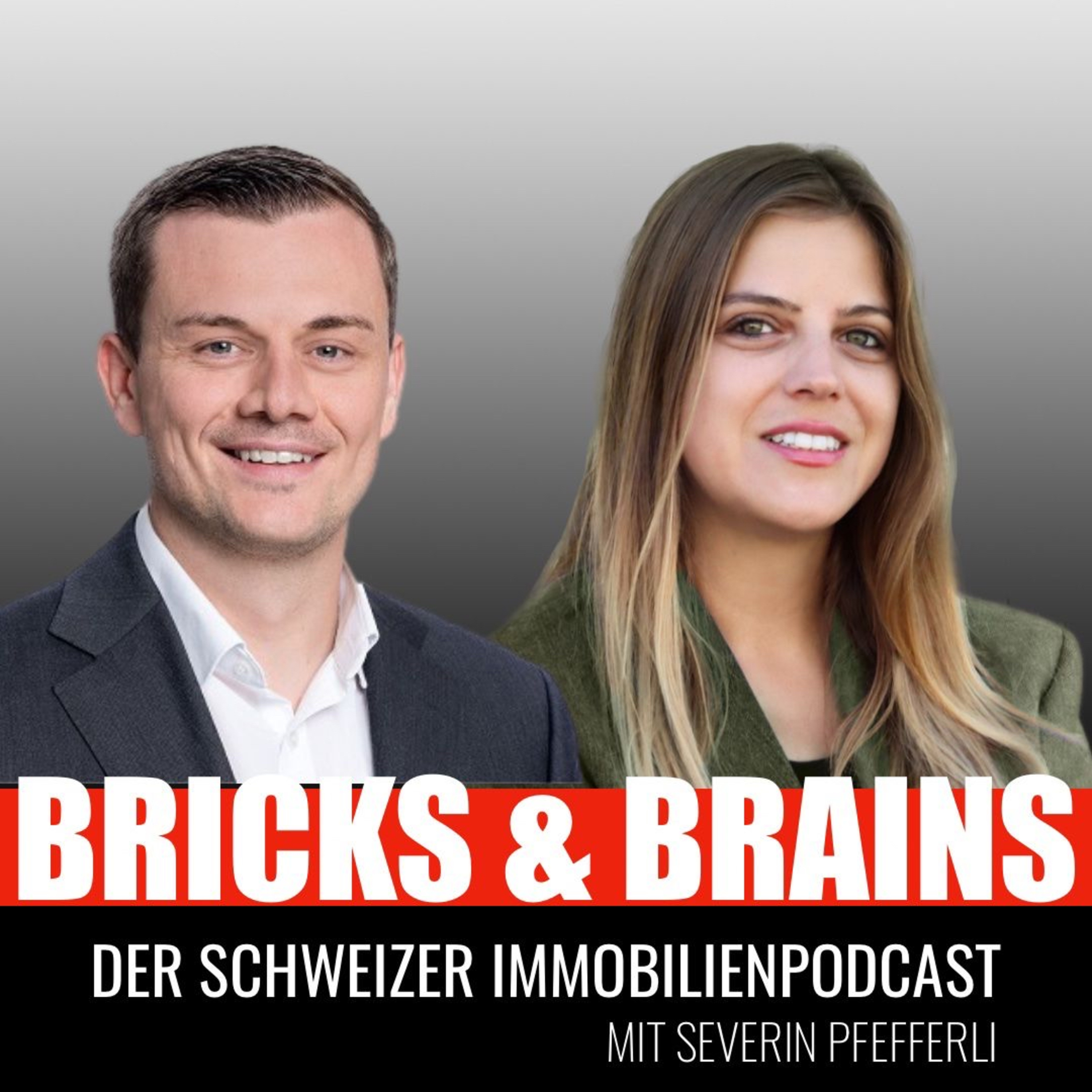 Bricks and Brains - Schweizer Immobilien