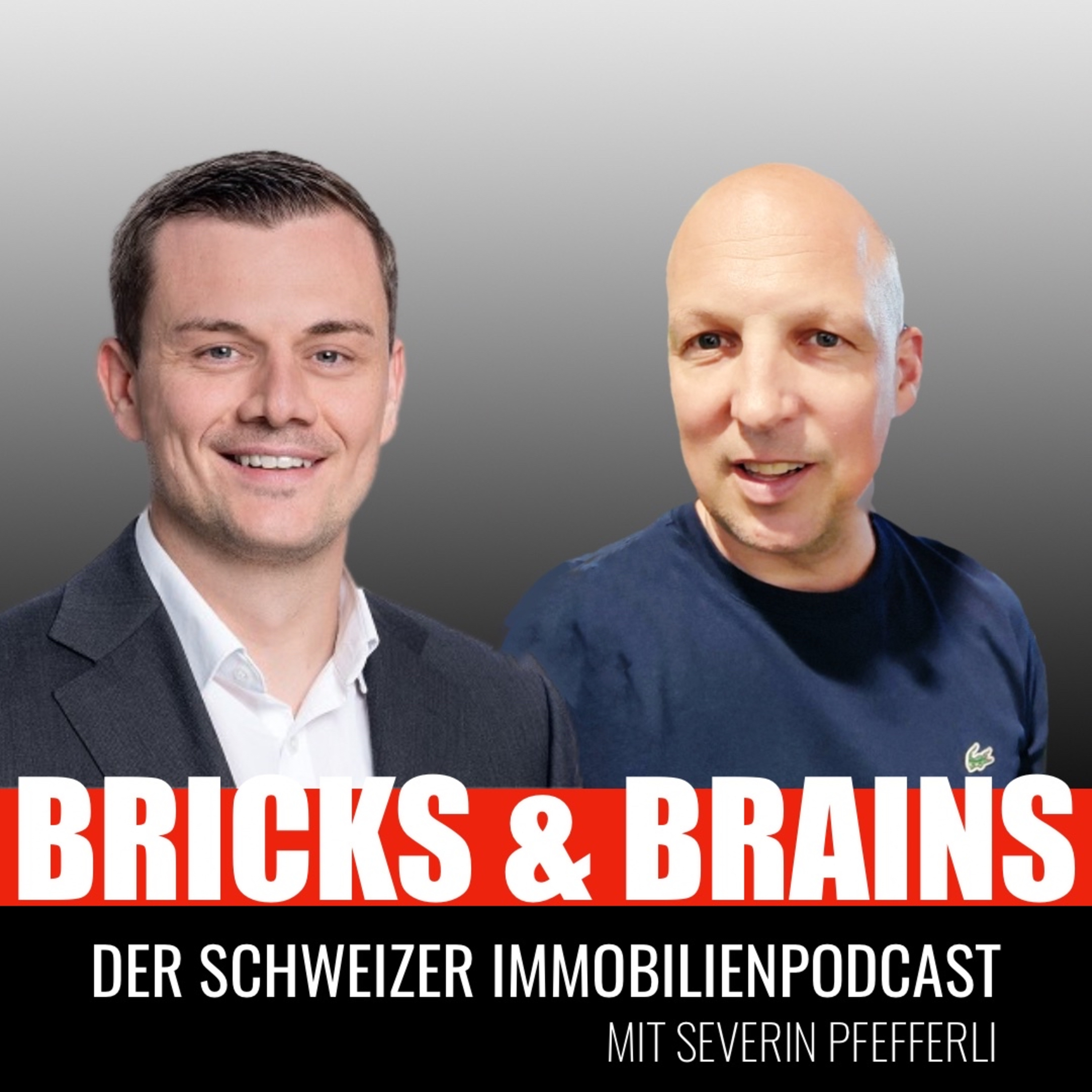 Bricks and Brains - Schweizer Immobilien