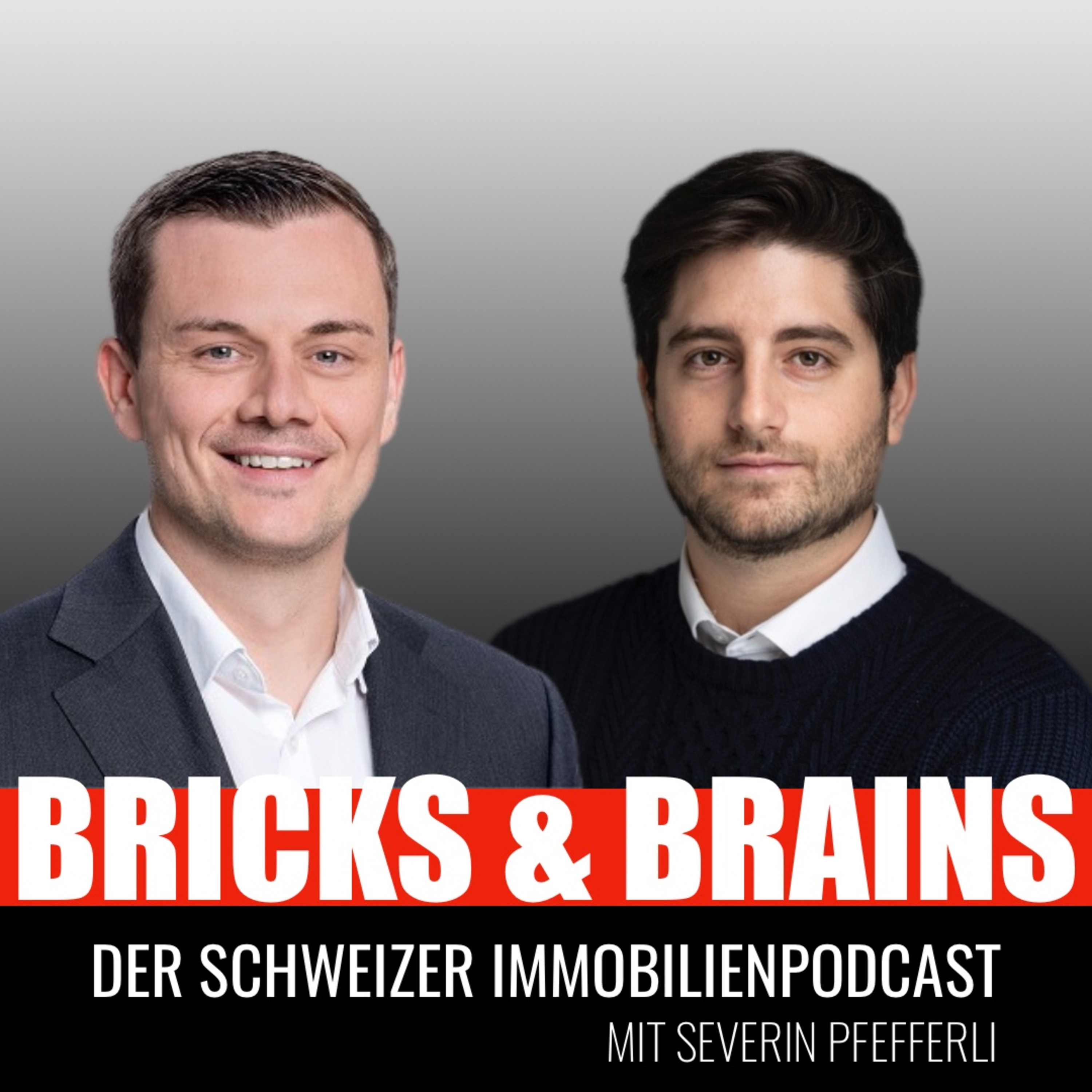 Bricks and Brains - Schweizer Immobilien