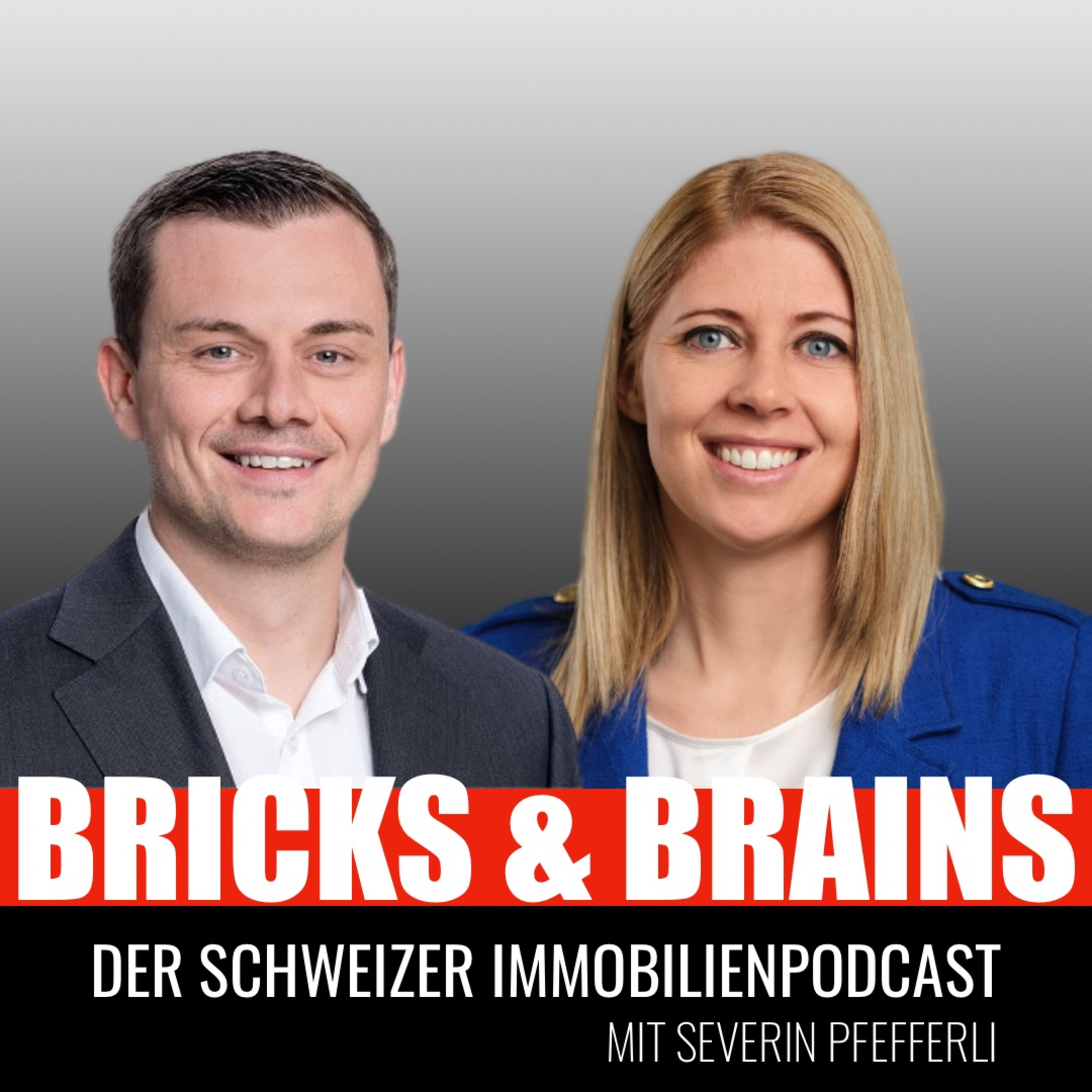 Bricks and Brains - Schweizer Immobilien