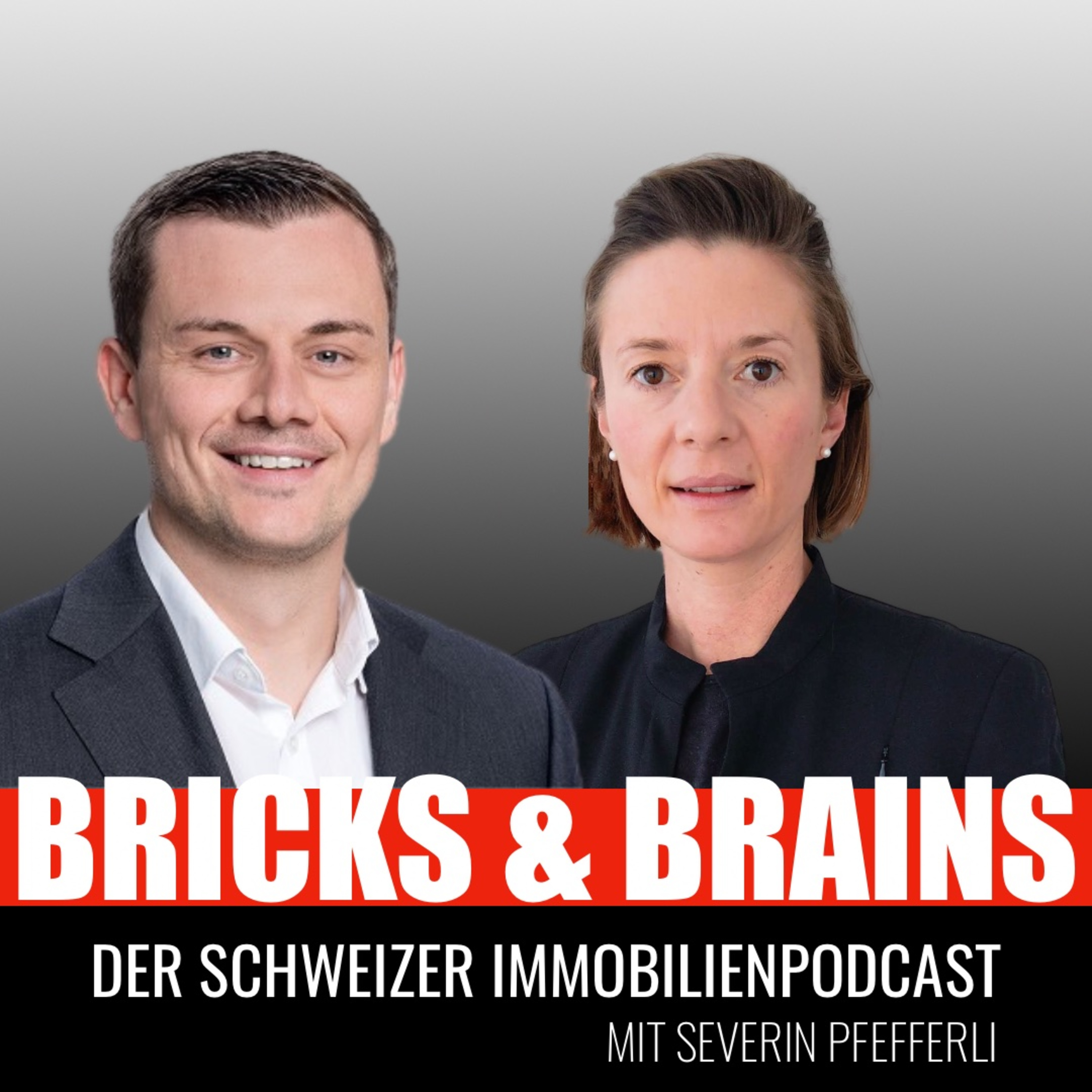 Bricks and Brains - Schweizer Immobilien