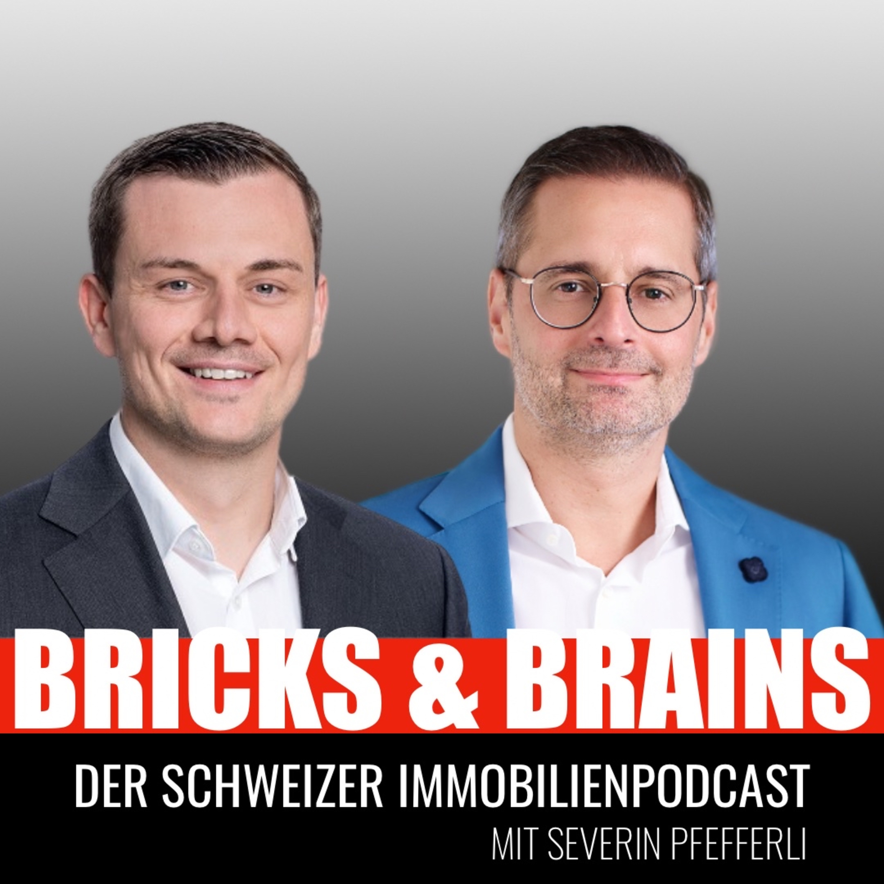 Bricks and Brains - Schweizer Immobilien