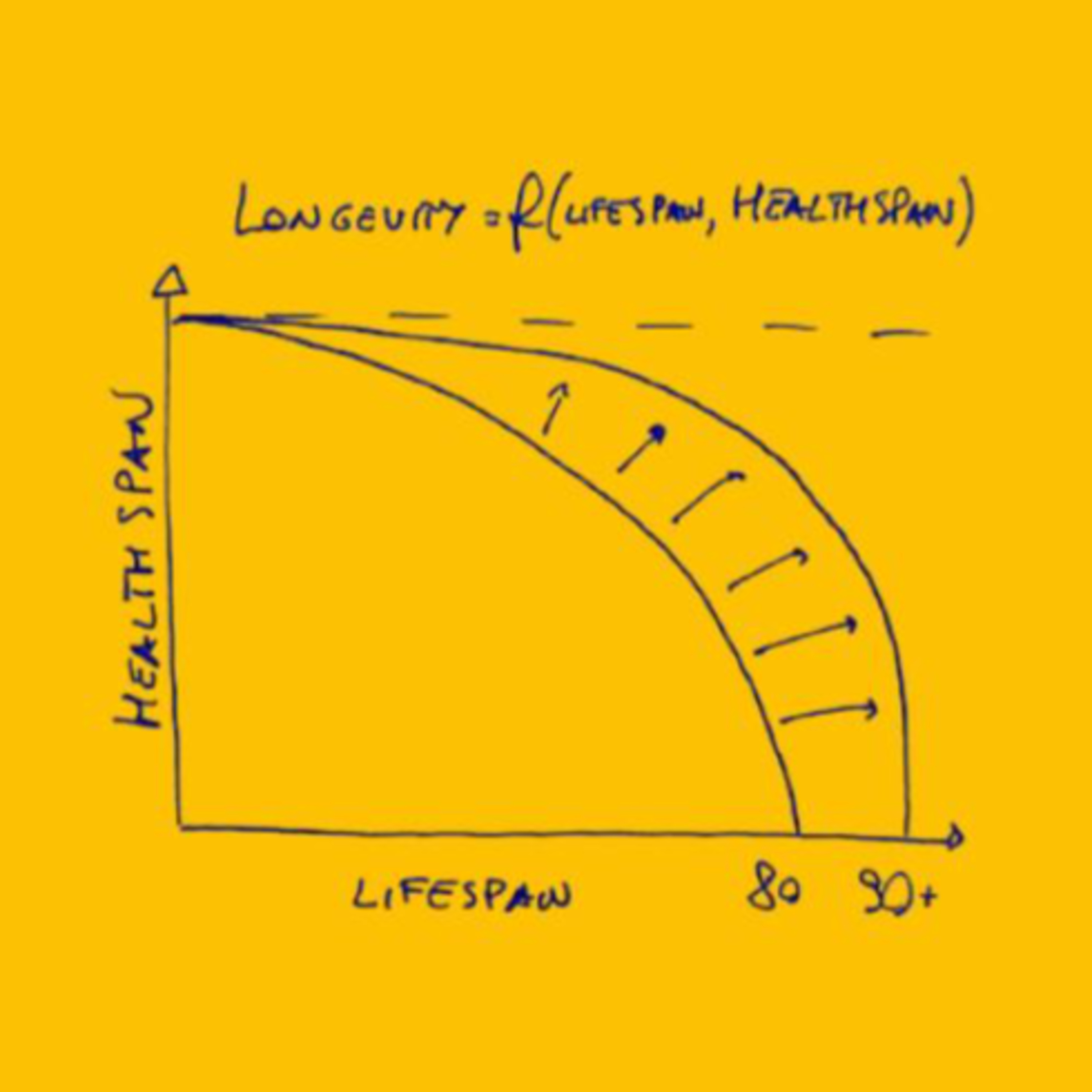 HealthSpan Lab