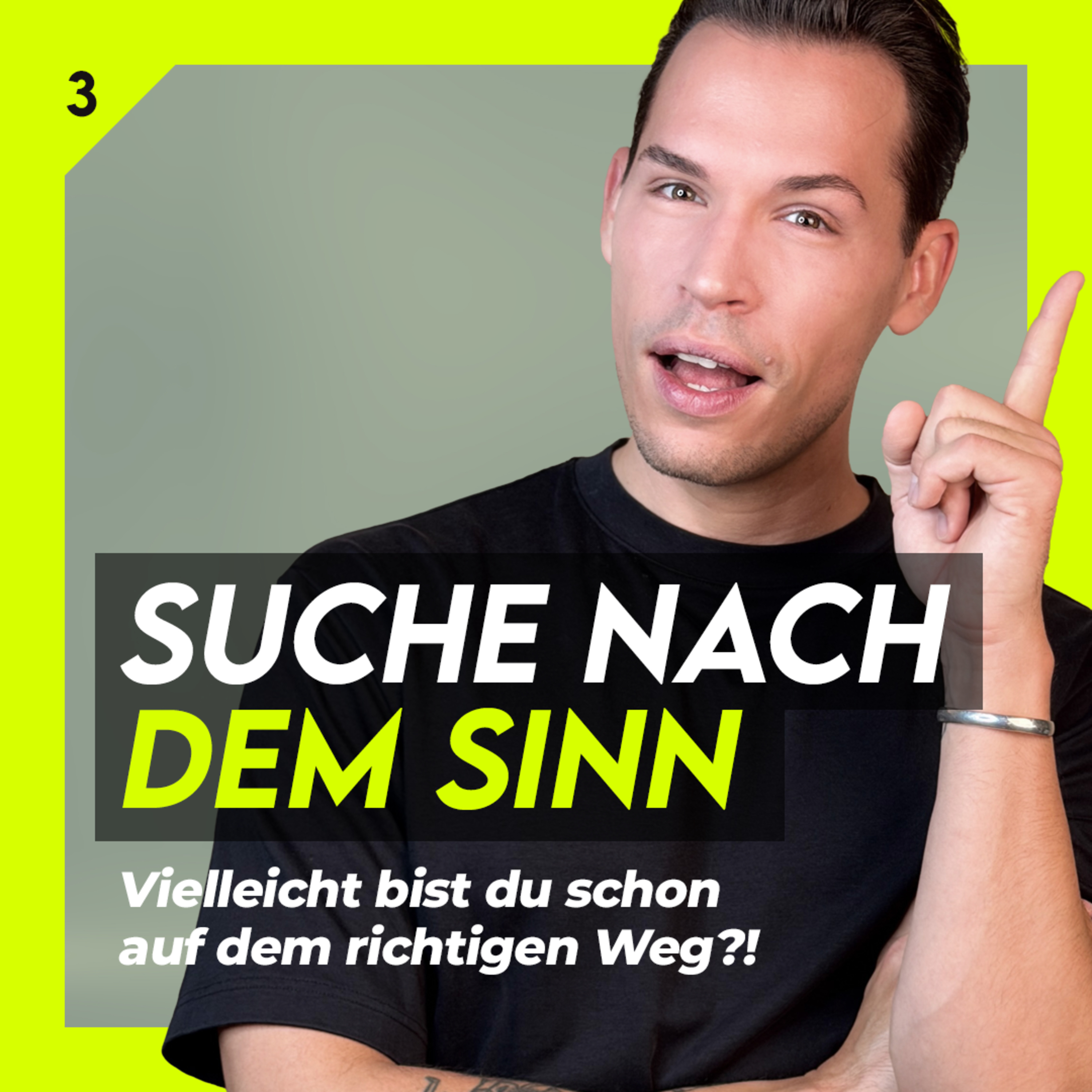 #03 Alles hat bereits einen Sinn - Ein Blickwinkel für ein erfüllteres Leben  episode artwork