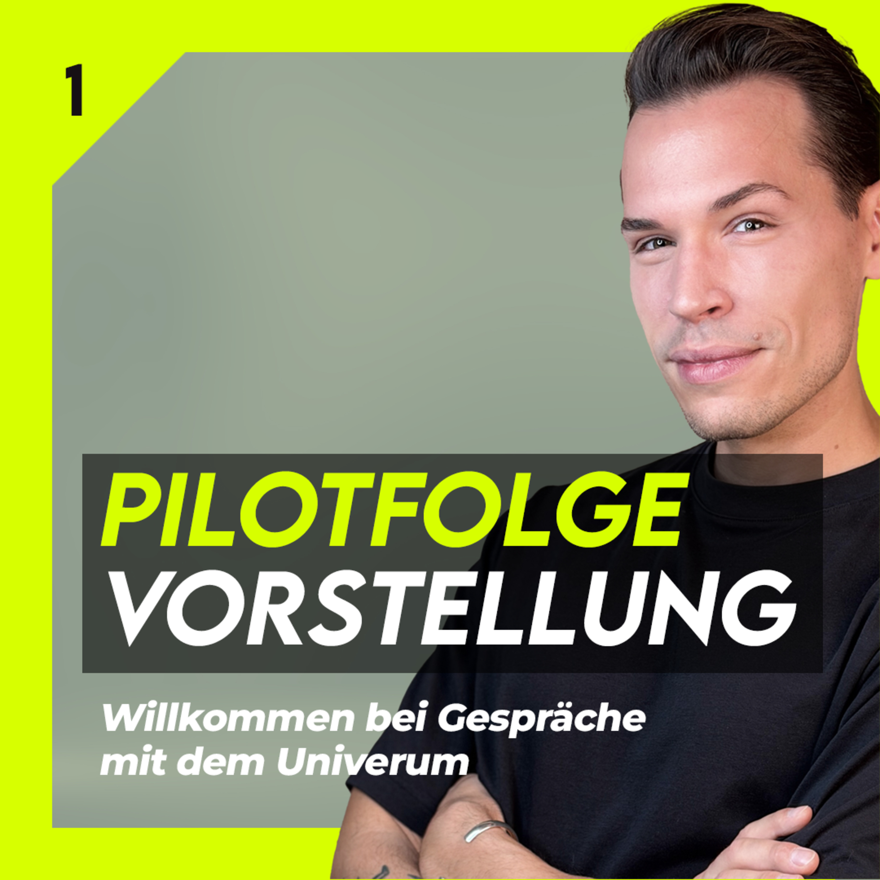 #01 Pilotfolge & Vorstellung Gespräche mit dem Universum episode artwork
