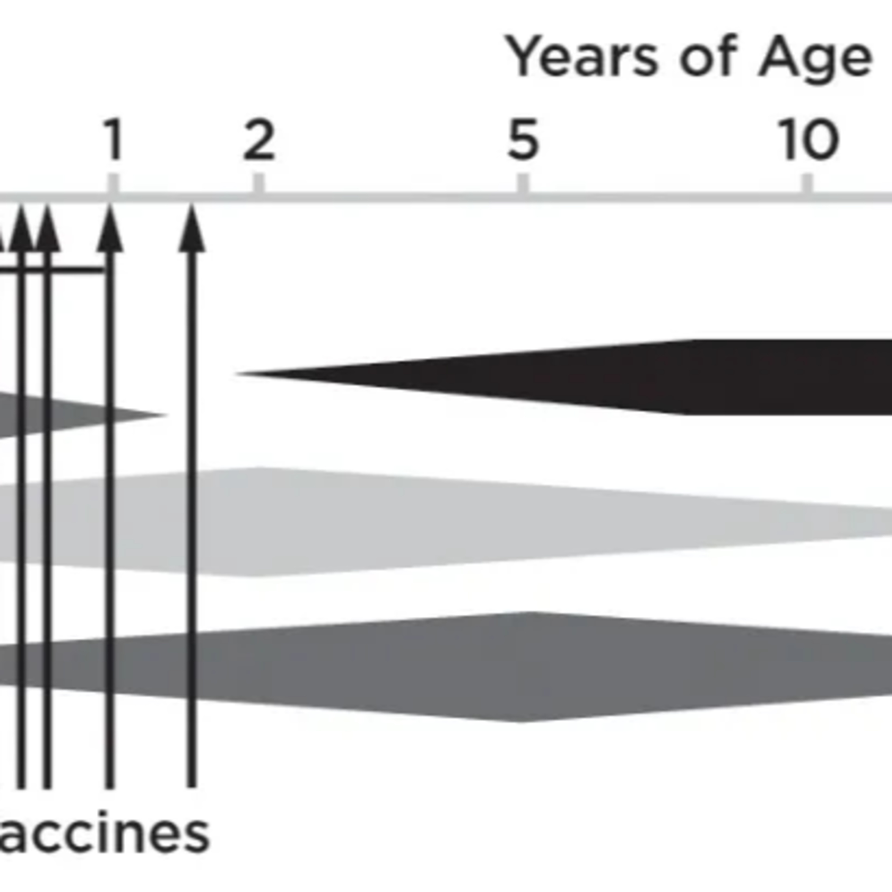 How Do Vaccines Cause Autism