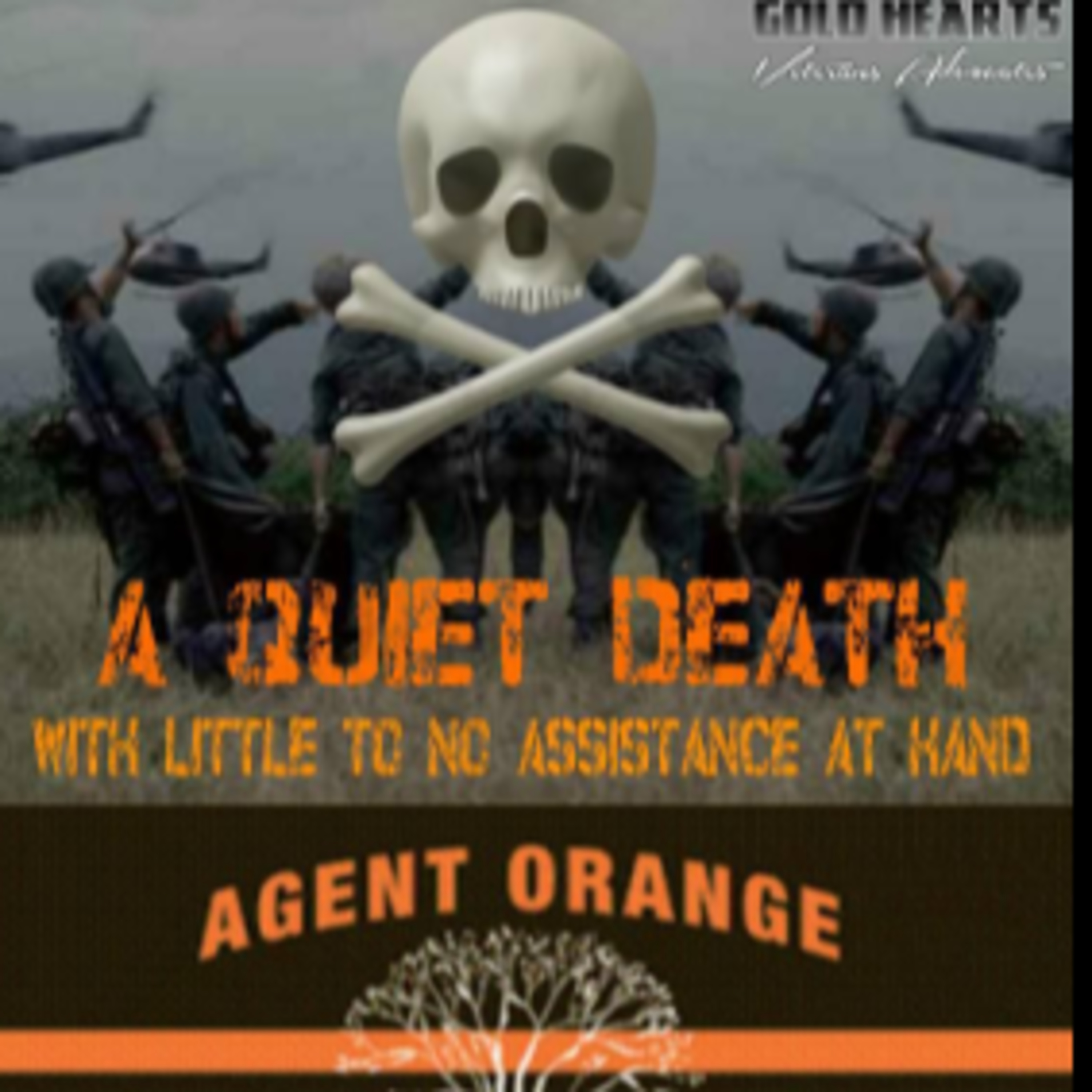 Vietnam: Agent Orange, Ecocide and International Law