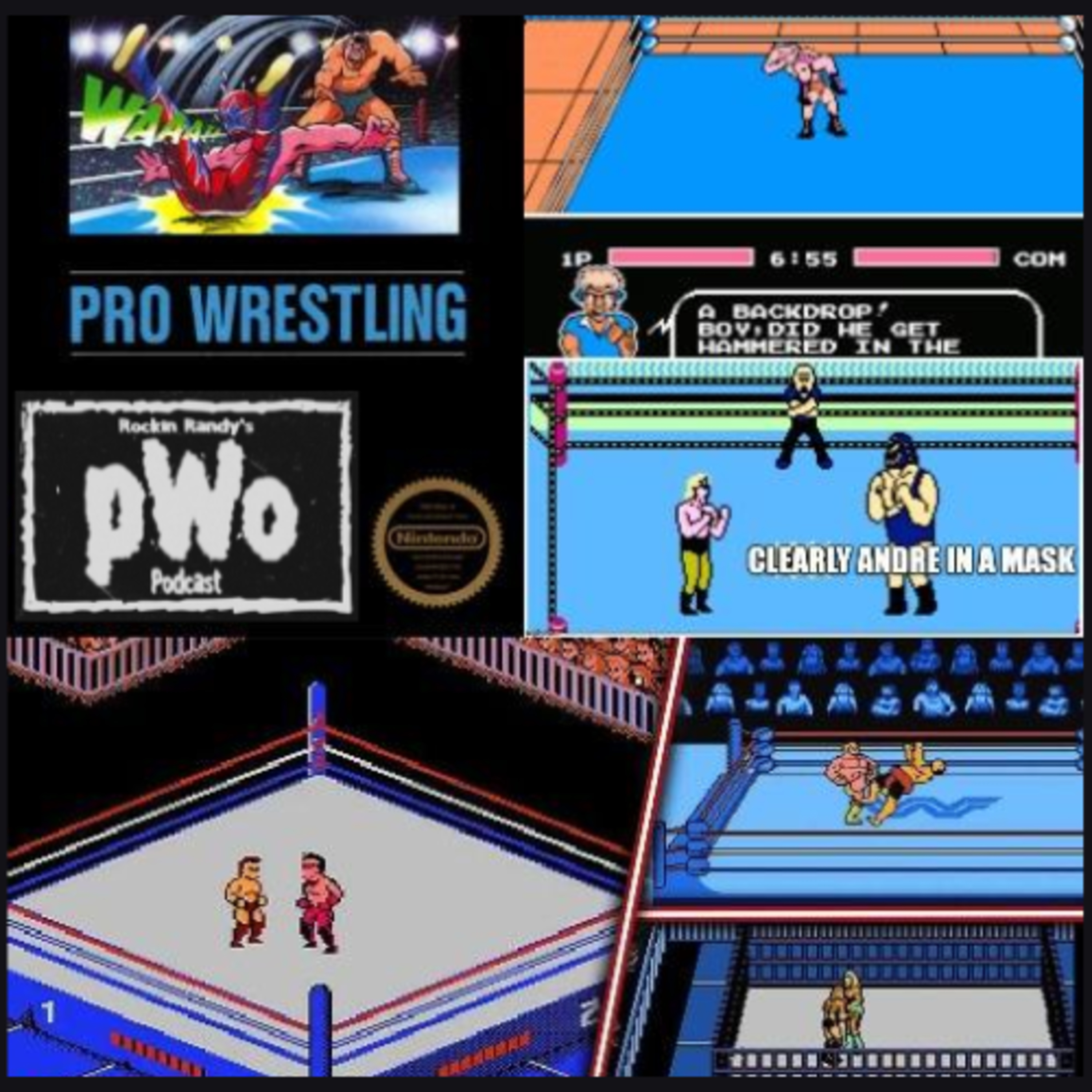 Pro Wrestling Outlaws Podcast