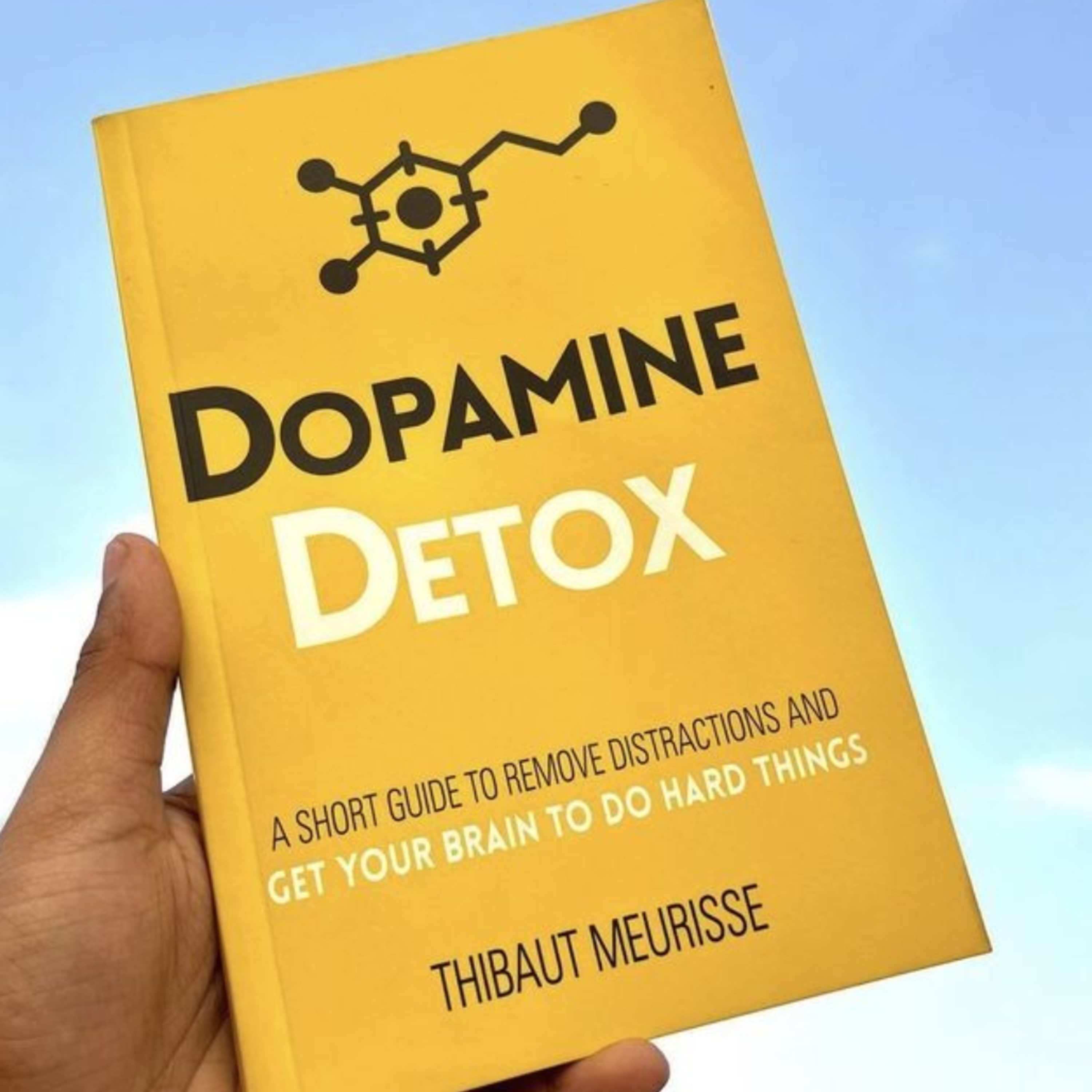 Dopamine Detox By Thibaut Meurisse Audiobook