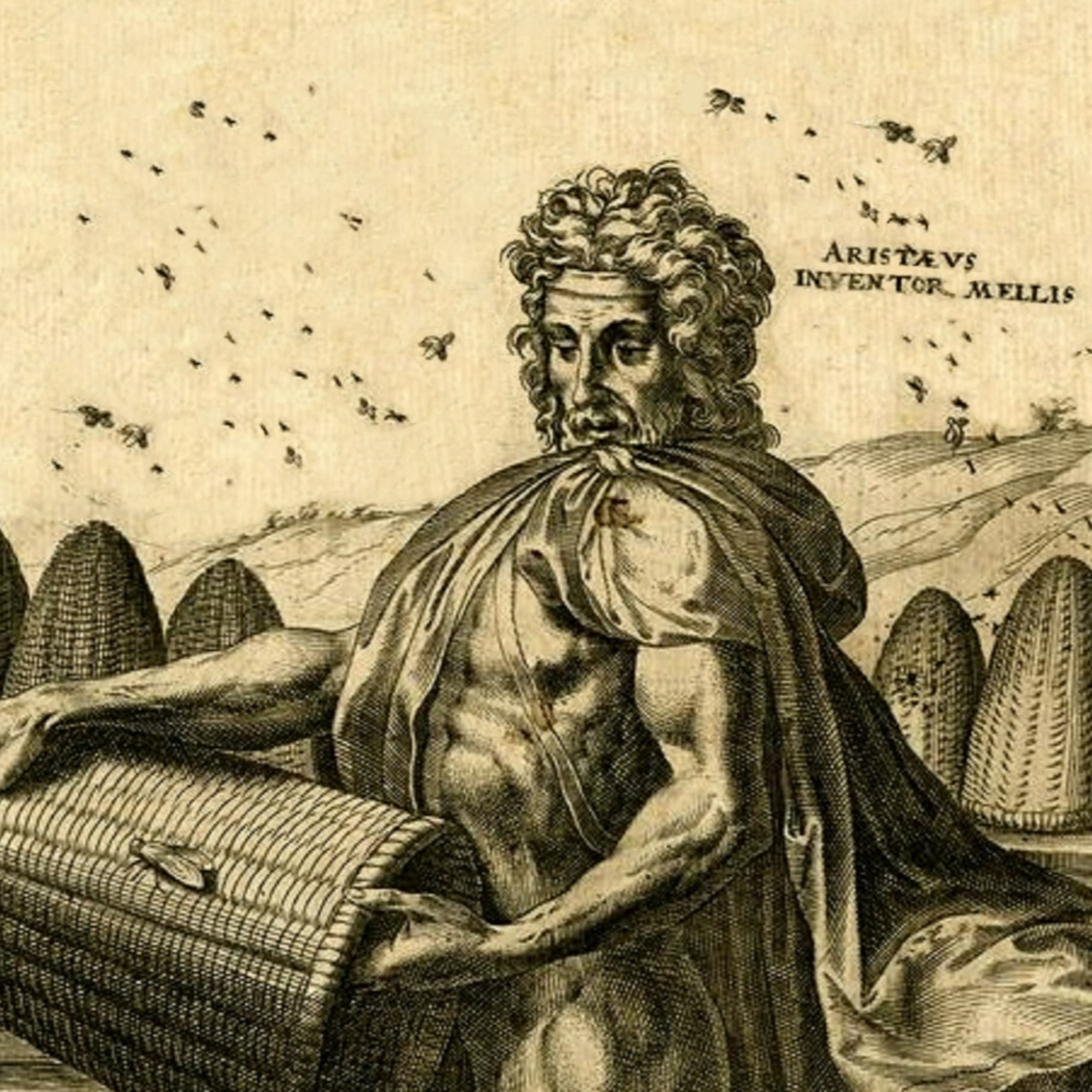 Ο Αρισταίος (Κέα) episode artwork