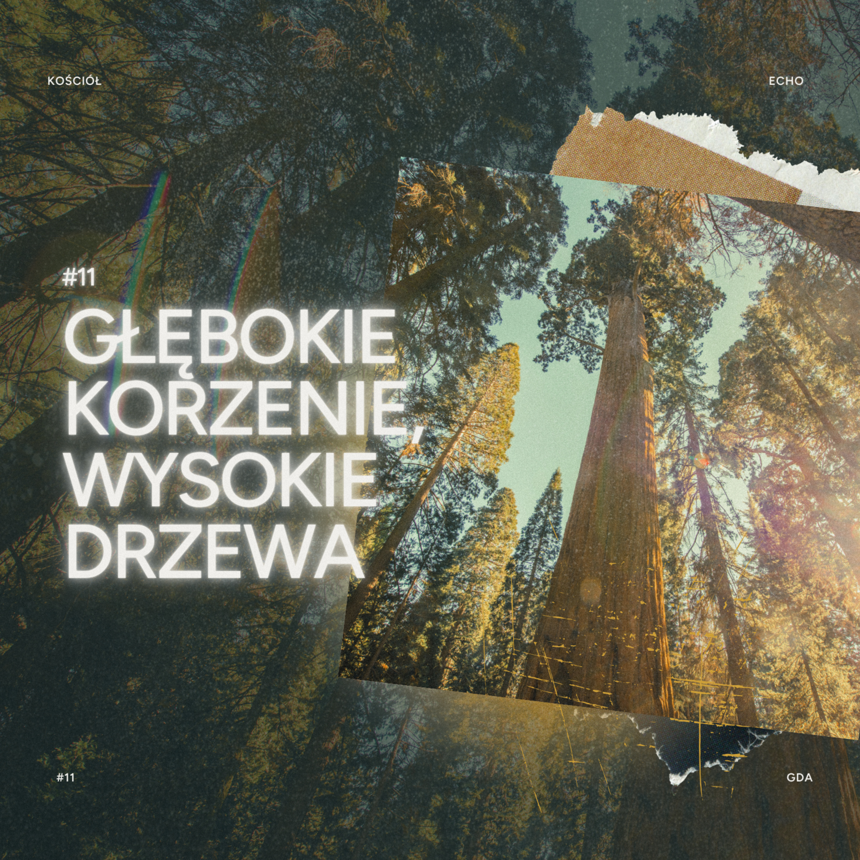 EP #376 Oliwa, nie z oliwek - Daniel Różański episode artwork