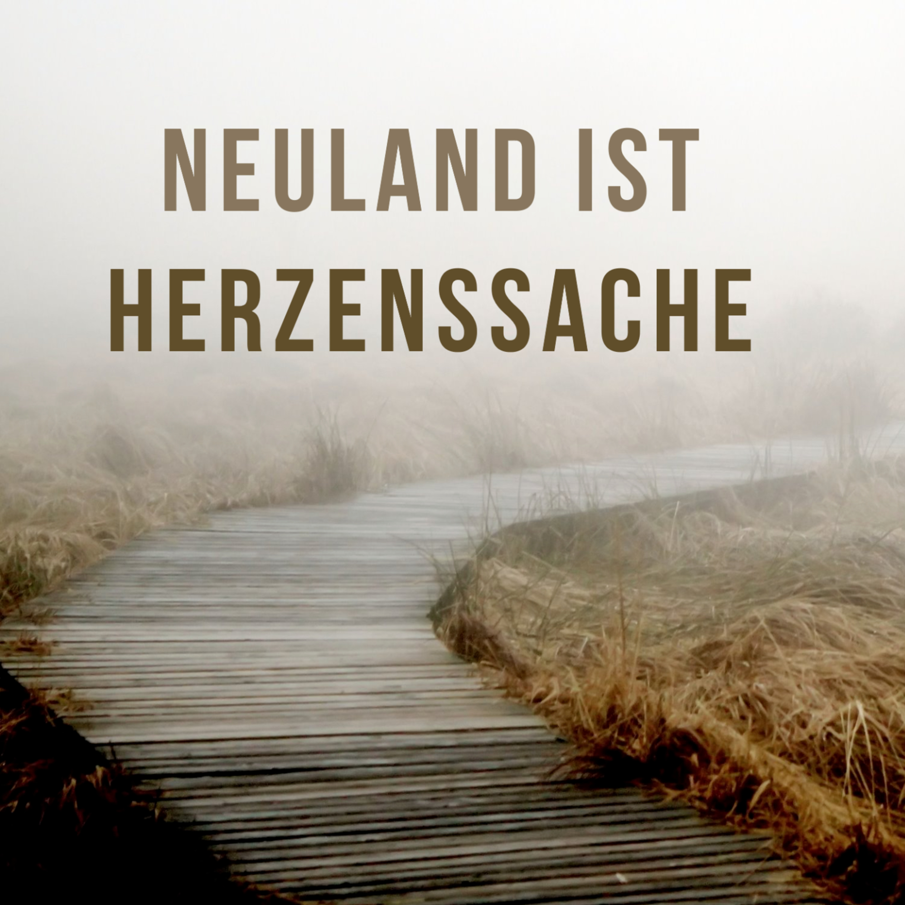 Neuland ist Herzenssache | Andre Janzen
