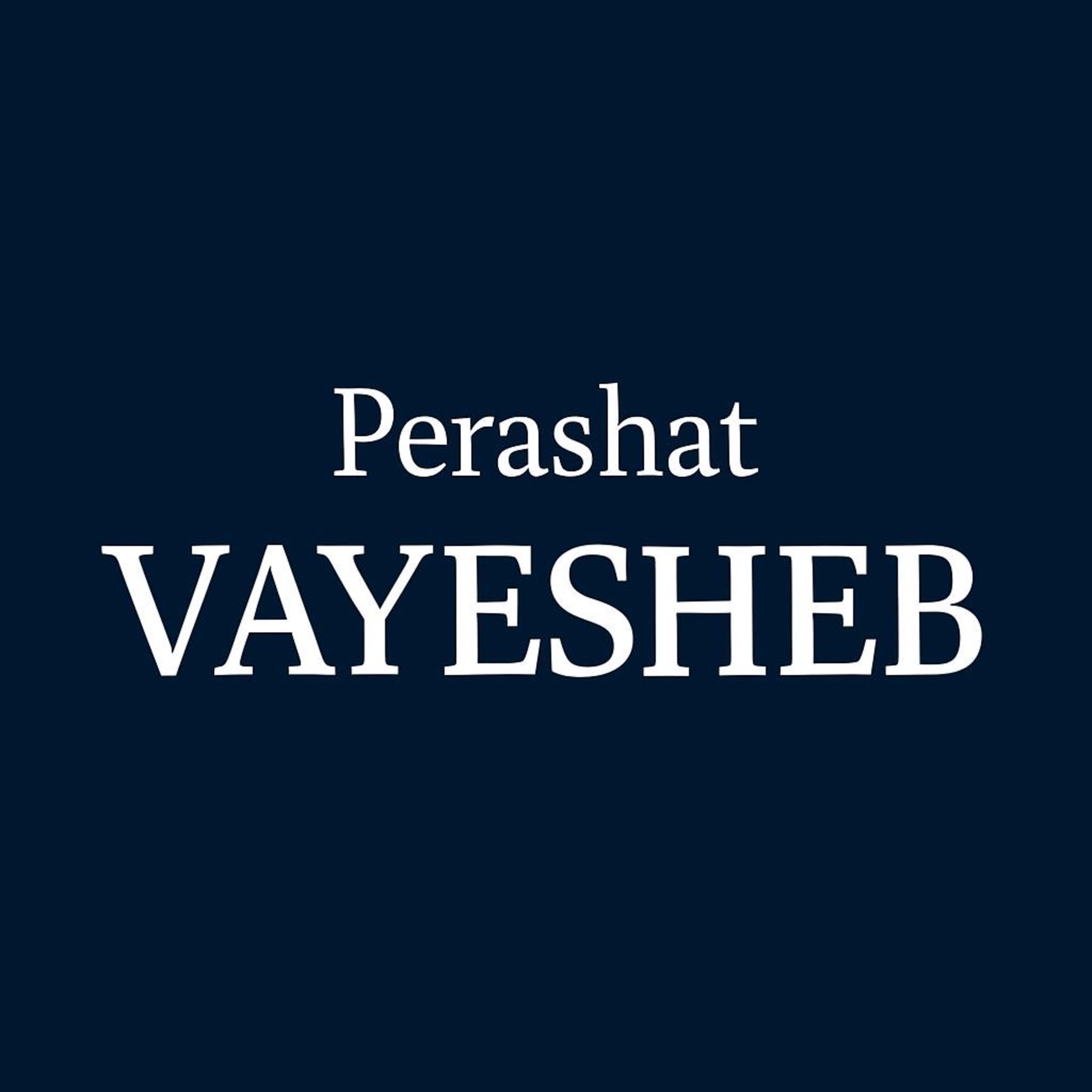 Vayesheb: Rav Alex Israel on Temptation and Sexuality  episode artwork