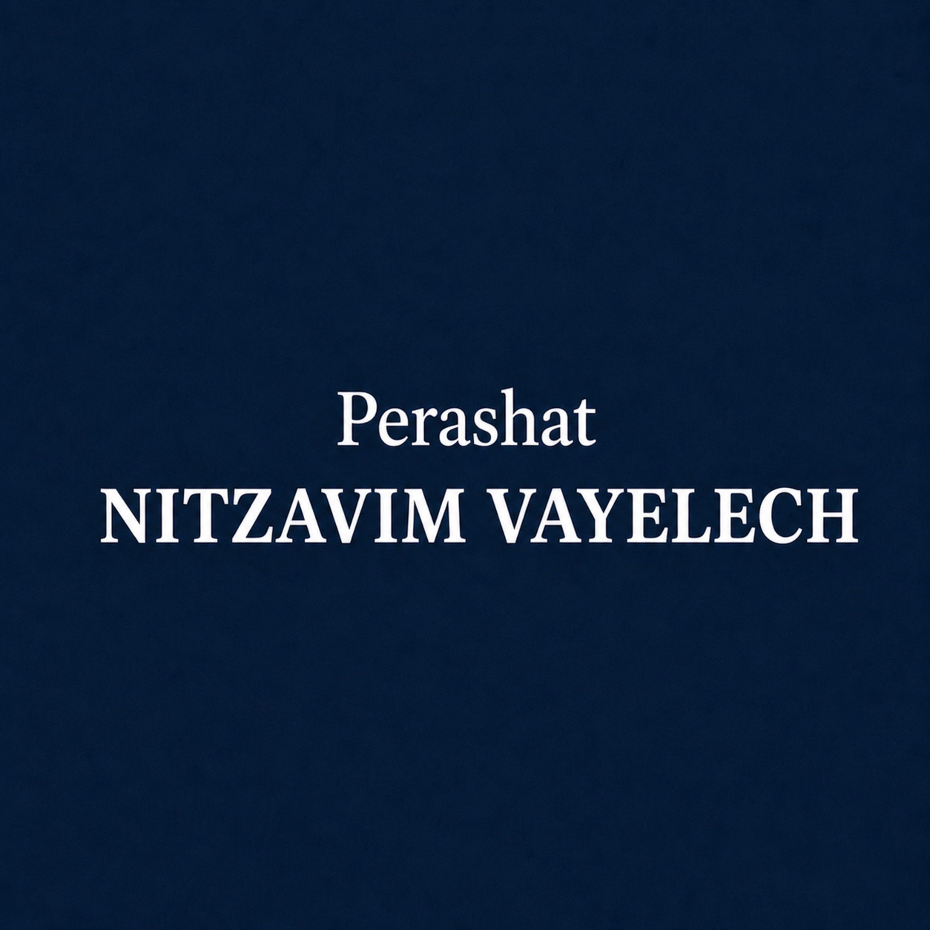 Nitsabim-Vayelekh: Rav Yitzchak Blau on the Berit's Obligations