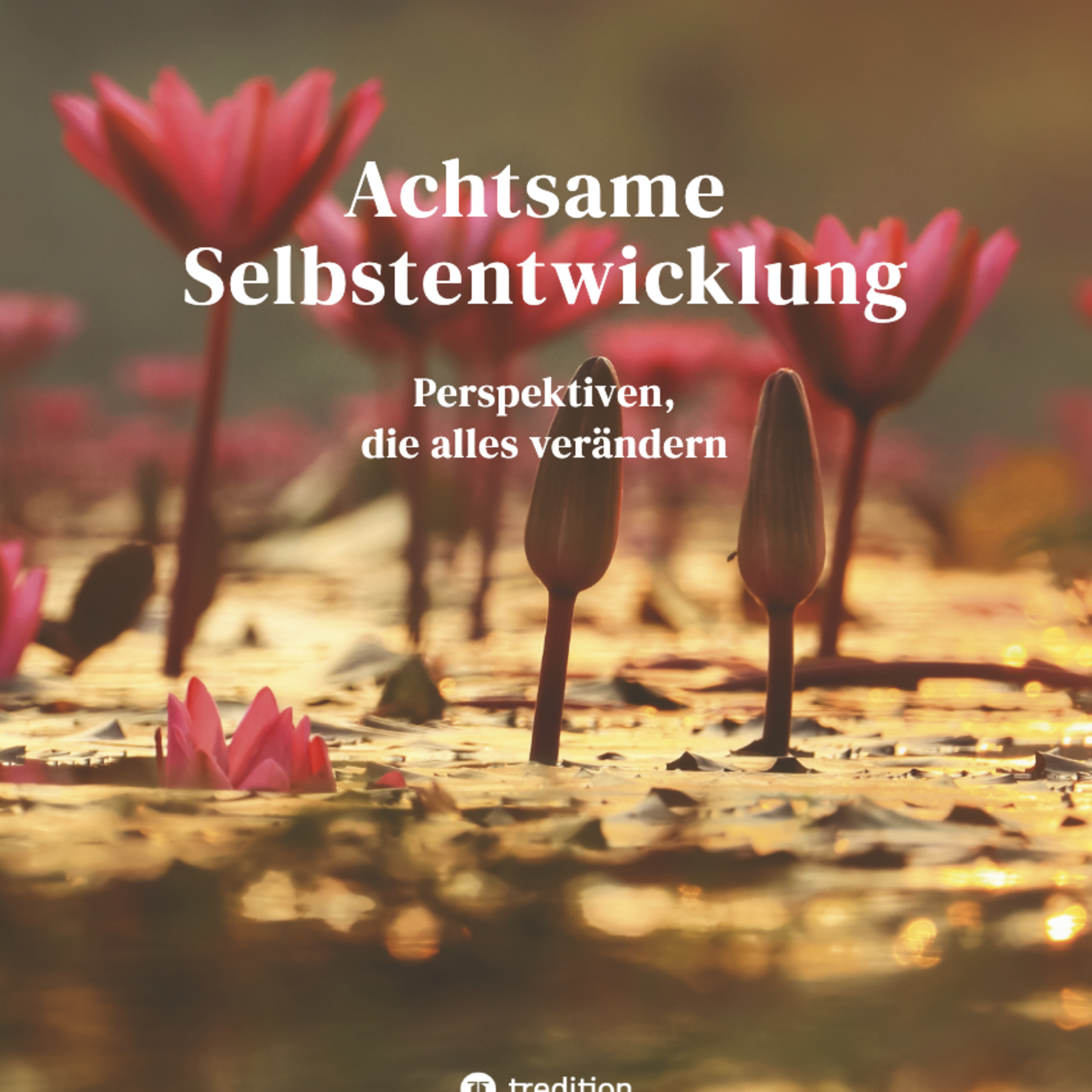 Folge 14: Deine innere Stadt und die Stufen der Entwicklung