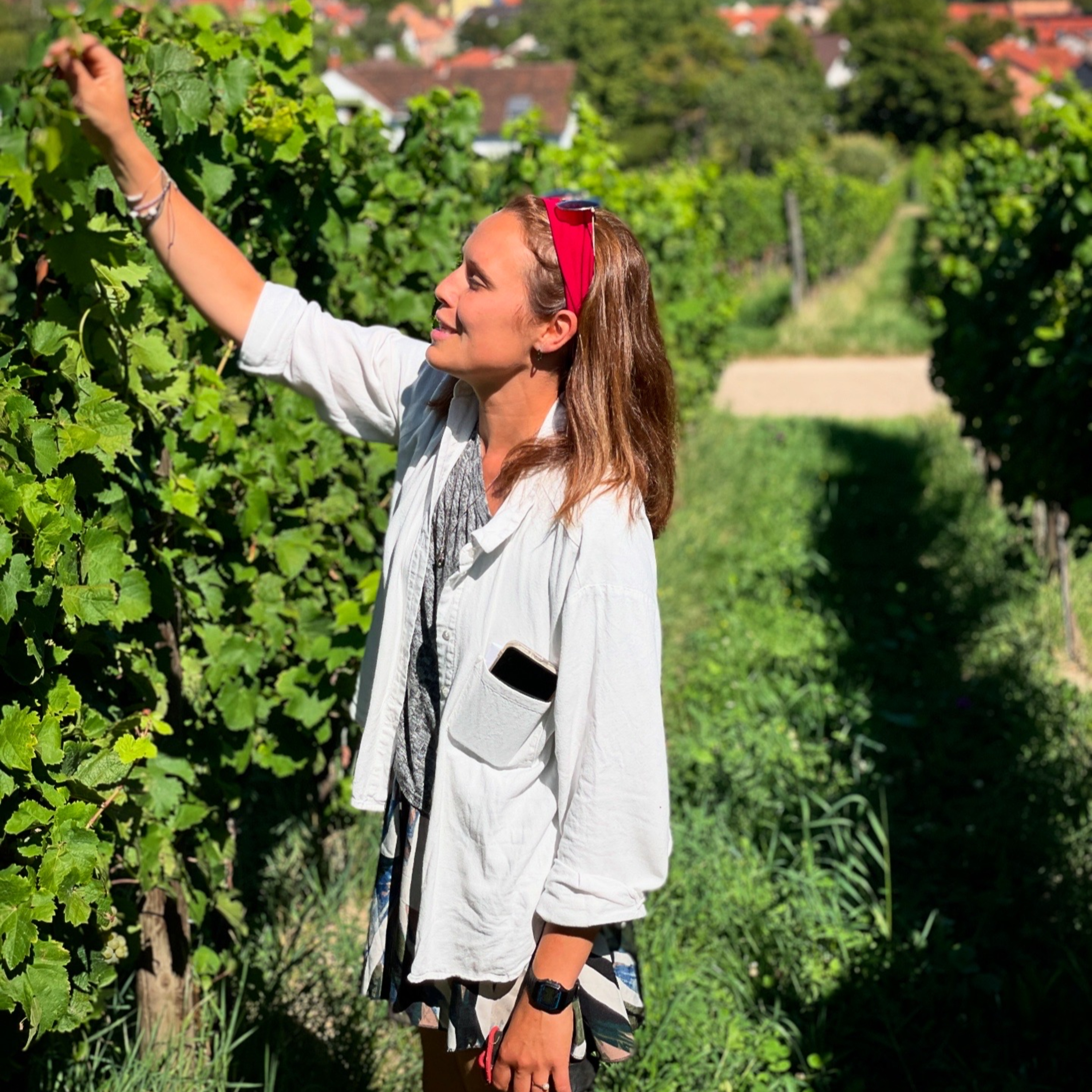 Bioland Weingut Isegrim (Germany, Pfalz) - Cool Climate Wine Summit Interviews episode artwork