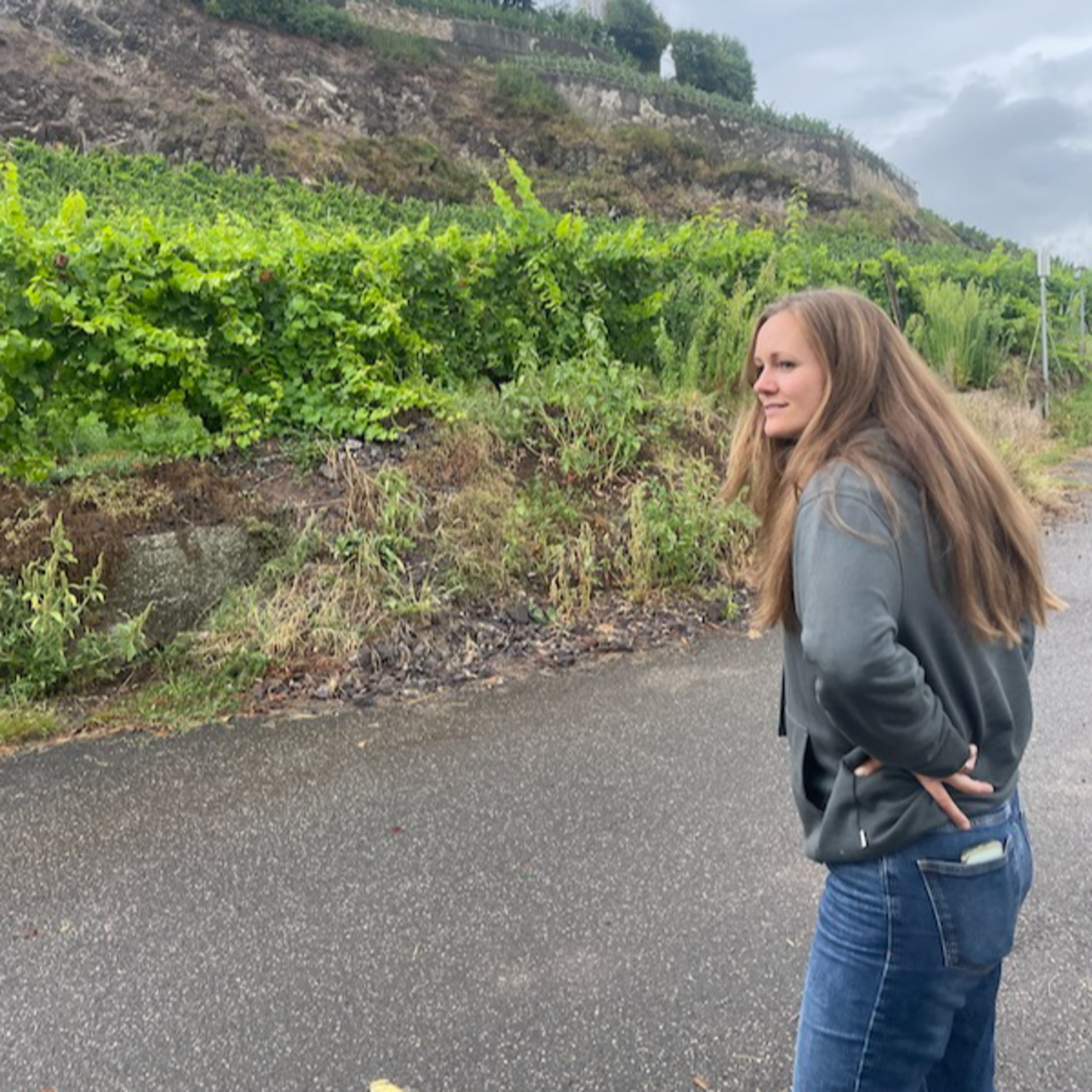 Cool Climate Wine Summit