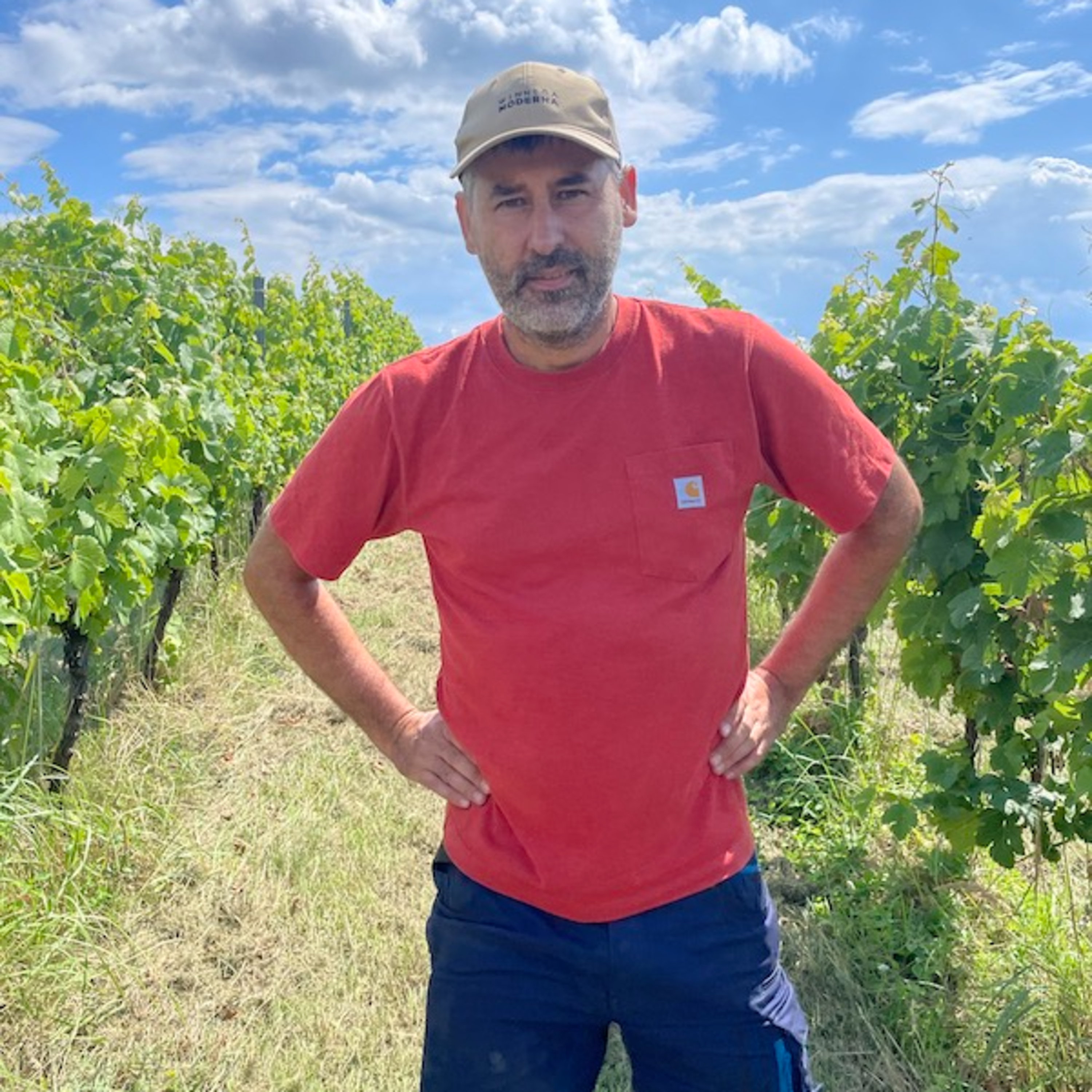 Winnica Moderna (Poland, Lower Silesia) - Cool Climate Wine Summit Exhibitor Interviews episode artwork