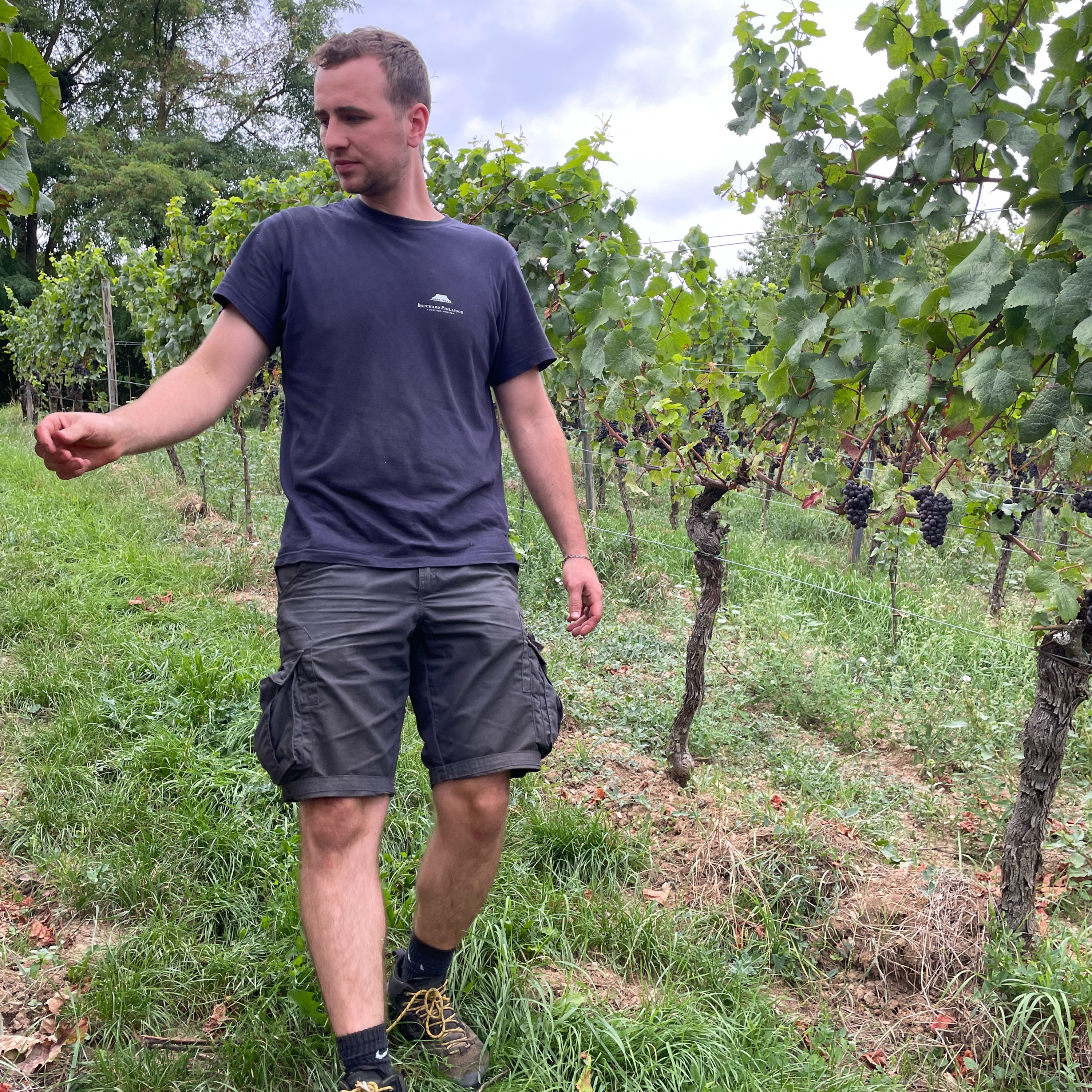 VDP. Weingut Bernhart (Germany, Pfalz) - Cool Climate Wine Summit Exhibitor Interviews episode artwork