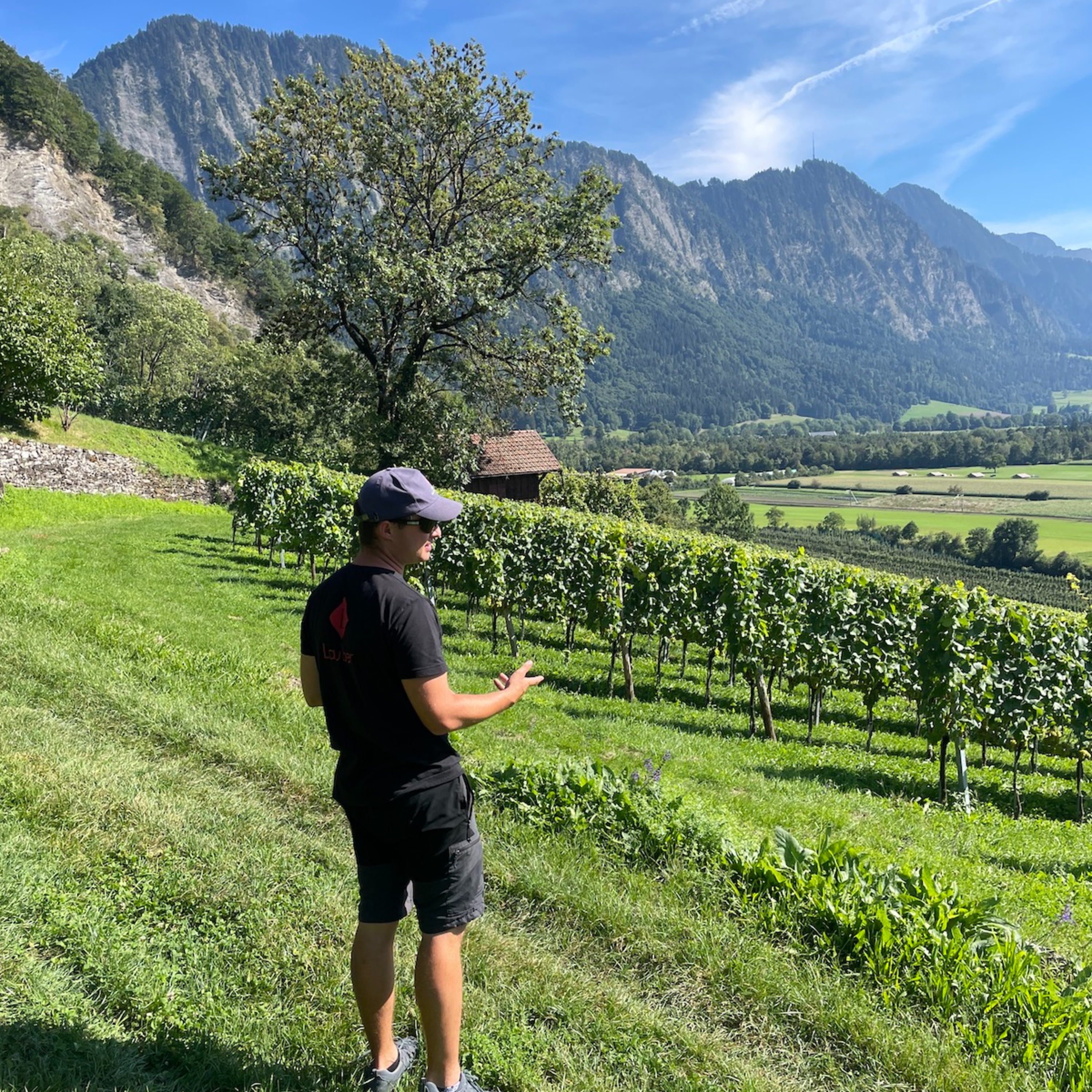 Lauber Weine (Switzerland, Graubünden) - Cool Climate Wine Summit Exhibitor Interviews episode artwork