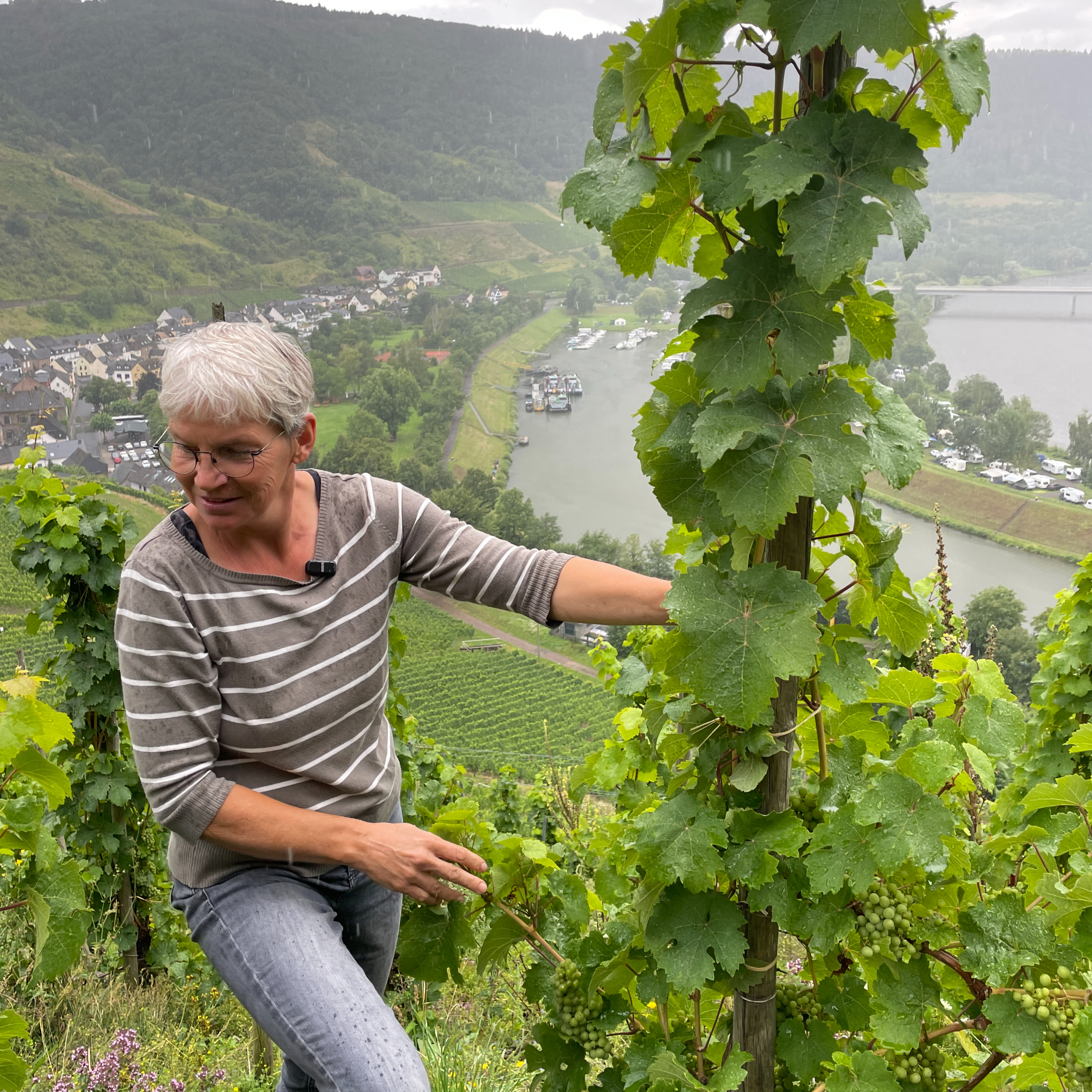 Stefanie Vornhecke (Germany, Mosel) - Cool Climate Wine Summit Exhibitor Interviews episode artwork