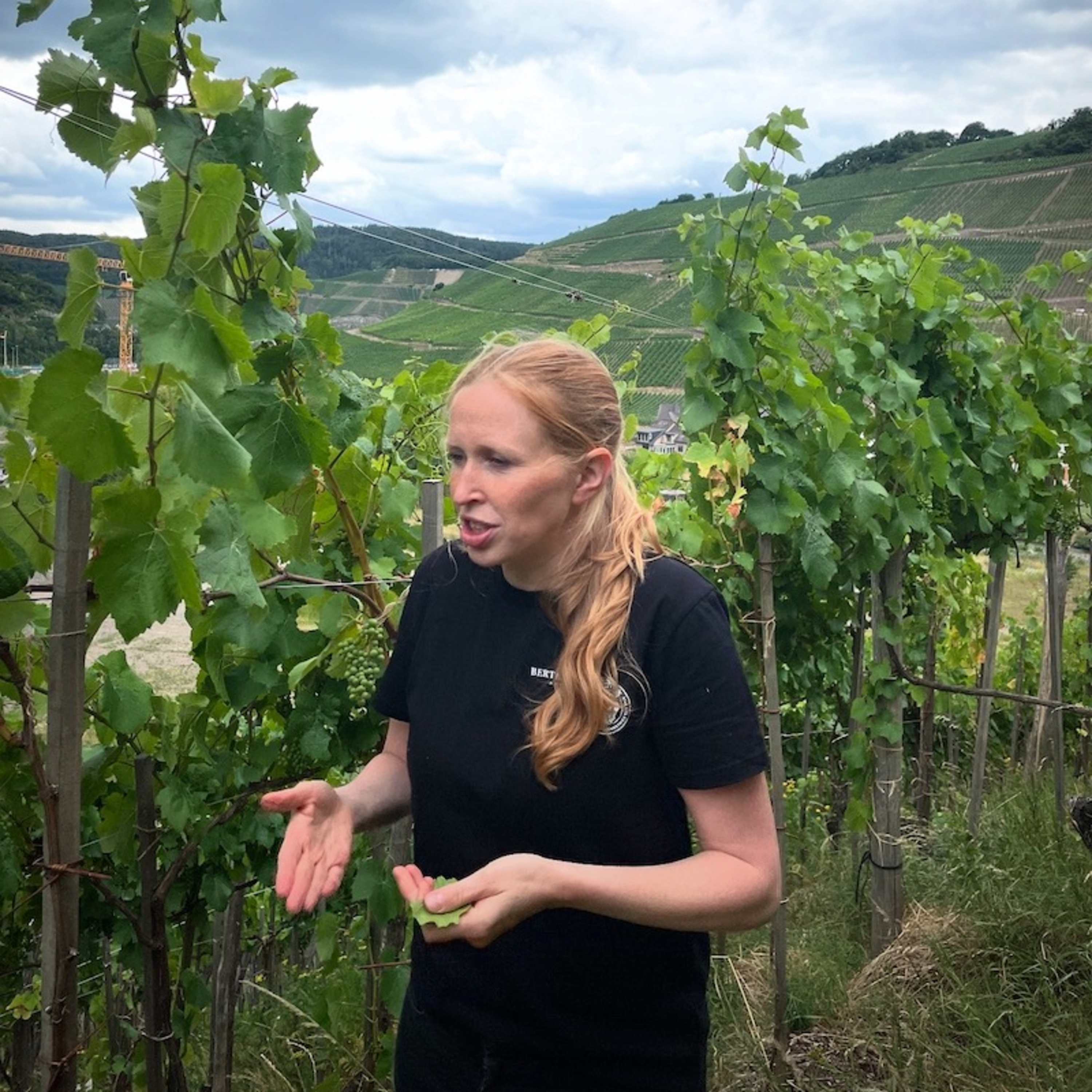 Weingut Bertram-Baltes (Germany, Ahr) - 2026 Exhibitor Interviews episode artwork