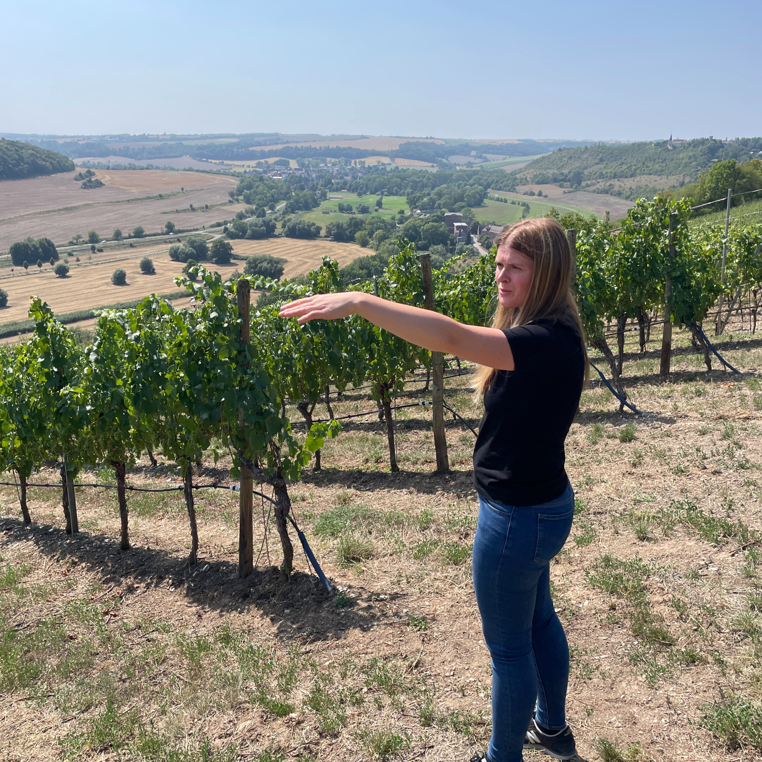 VDP. Weingut Böhme & Töchter (Germany, Saale-Unstrut) - Cool Climate Wine Summit Exhibitor Interviews episode artwork