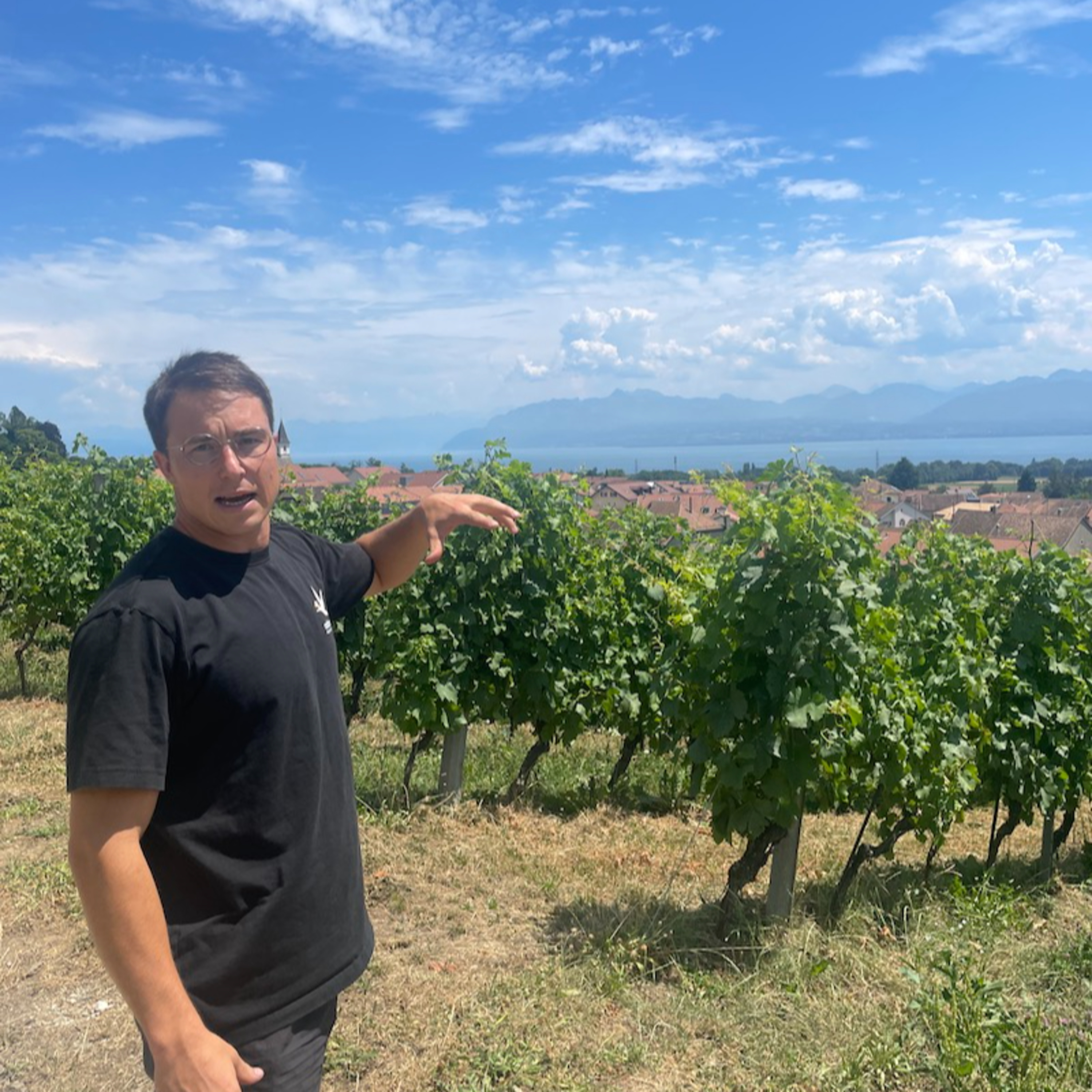 Domaine de Chantegrive (Switzerland, Vaud) - 2026 Exhibitor Interviews episode artwork