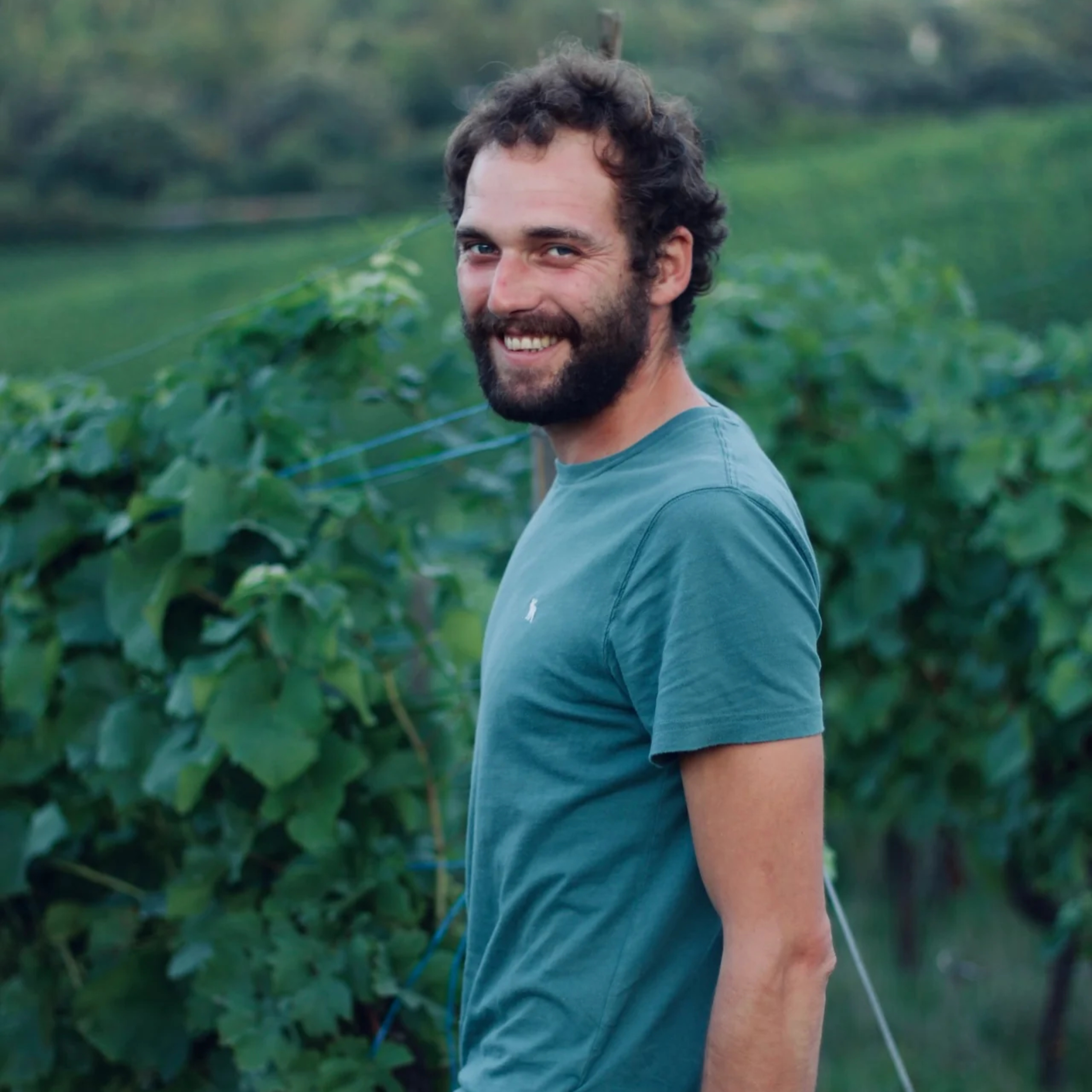 Bob Molling (Molling Wines, Luxembourg) — No Beautification, Just Pure episode artwork