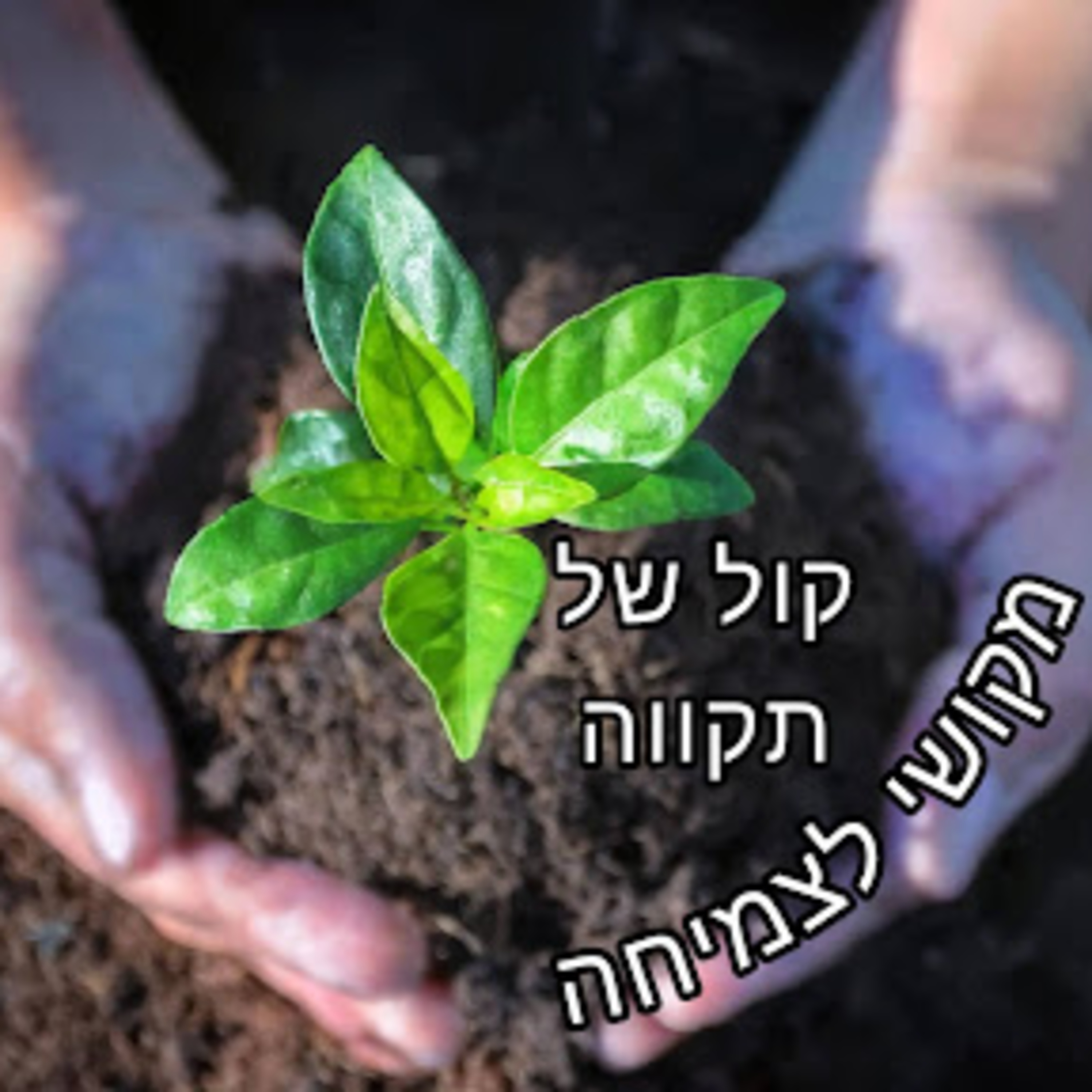 קול של תקווה episode artwork