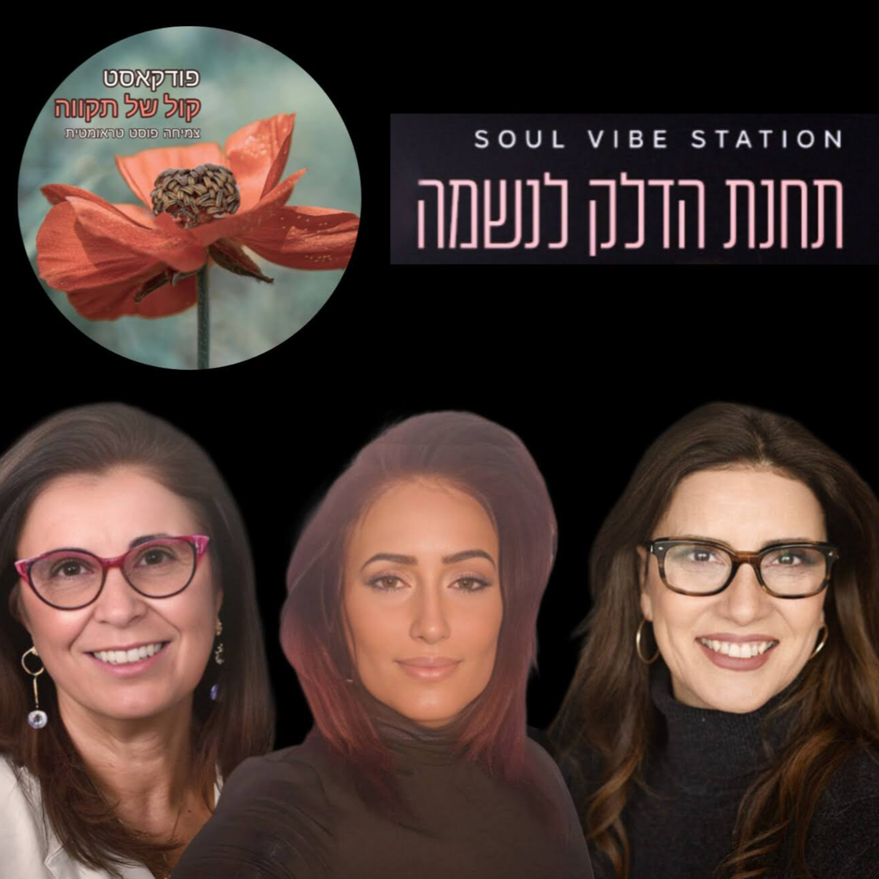 ילדת אהבה - נועה זנדר ז״ל || המסע של מלי episode artwork