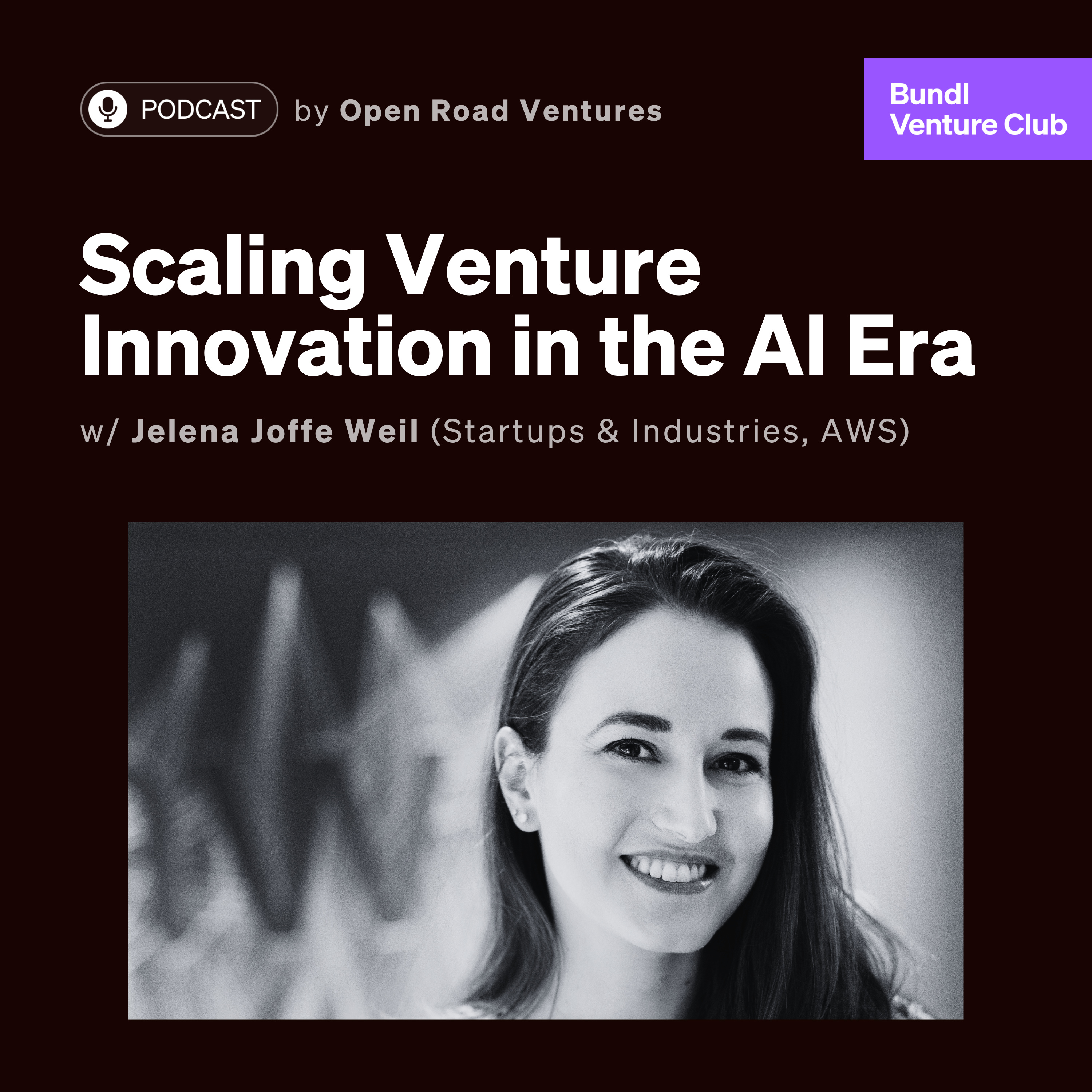 #14 - Scaling Venture Innovation in the AI Era w/ Jelena Joffe Weil (AWS) episode artwork