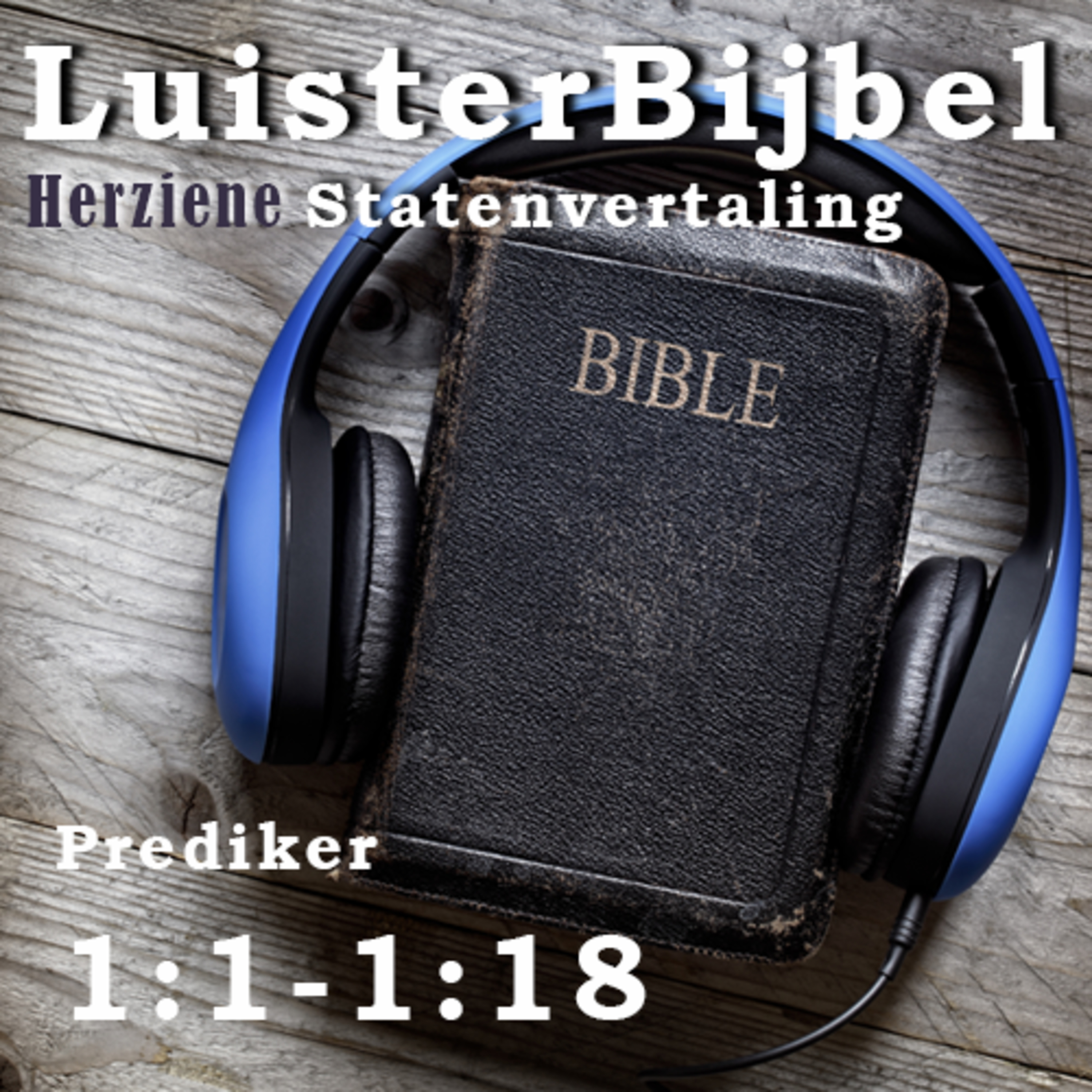 Prediker 1:1-1:18