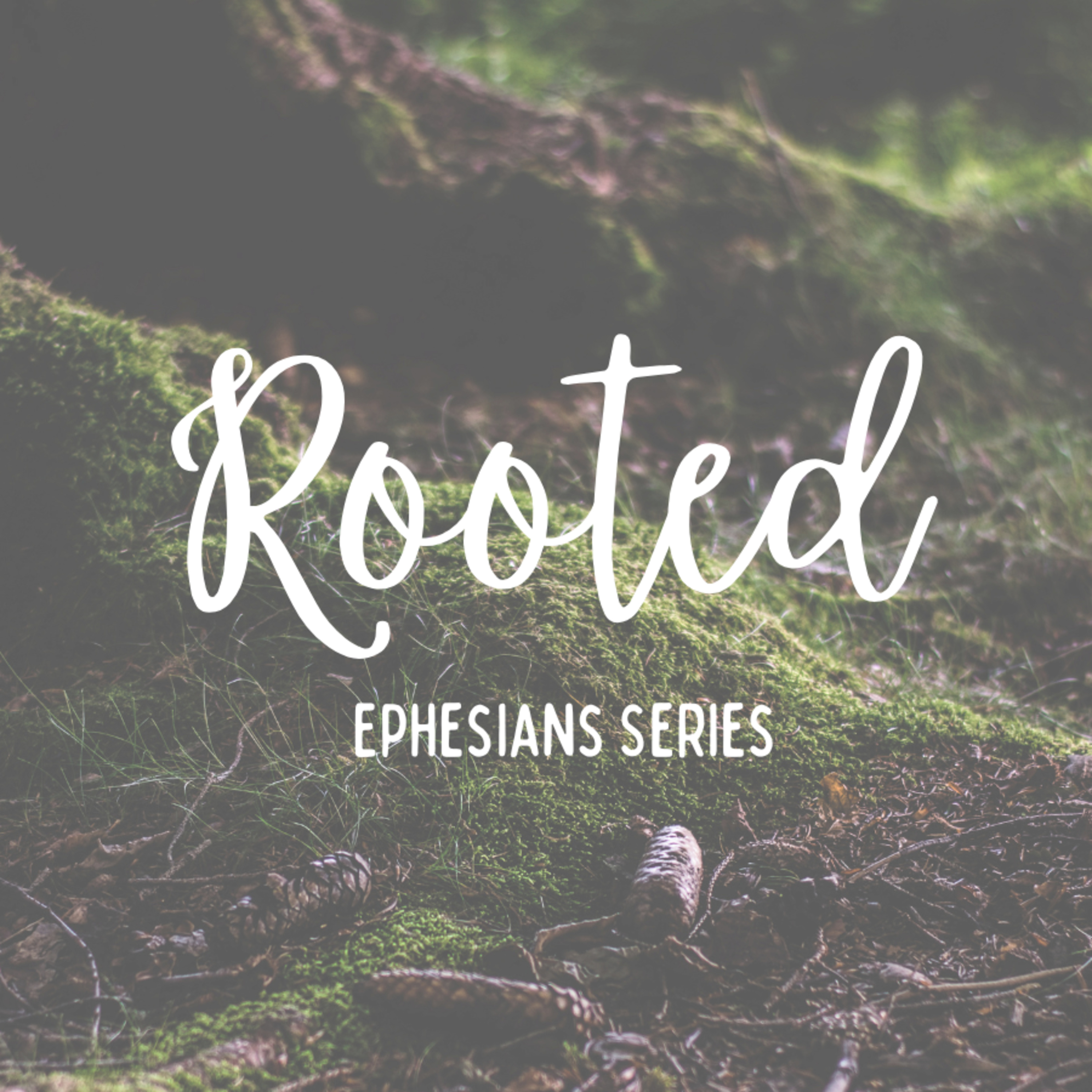 Rooted 4 Ephesians 1:15-22 Knowing the Power of the King episode artwork