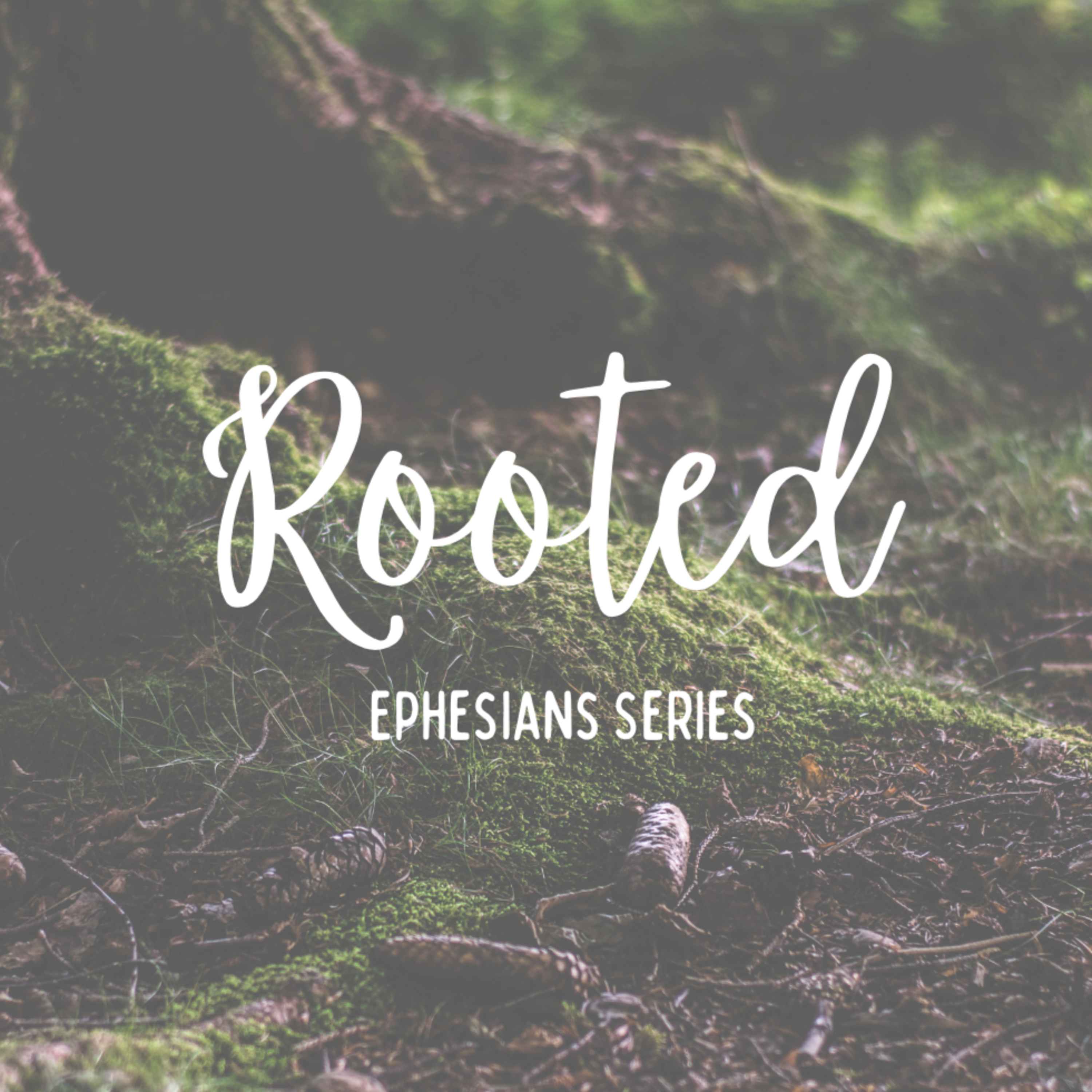 Rooted 10 Ephesians 4:1-6 Unity in the body of Christ episode artwork