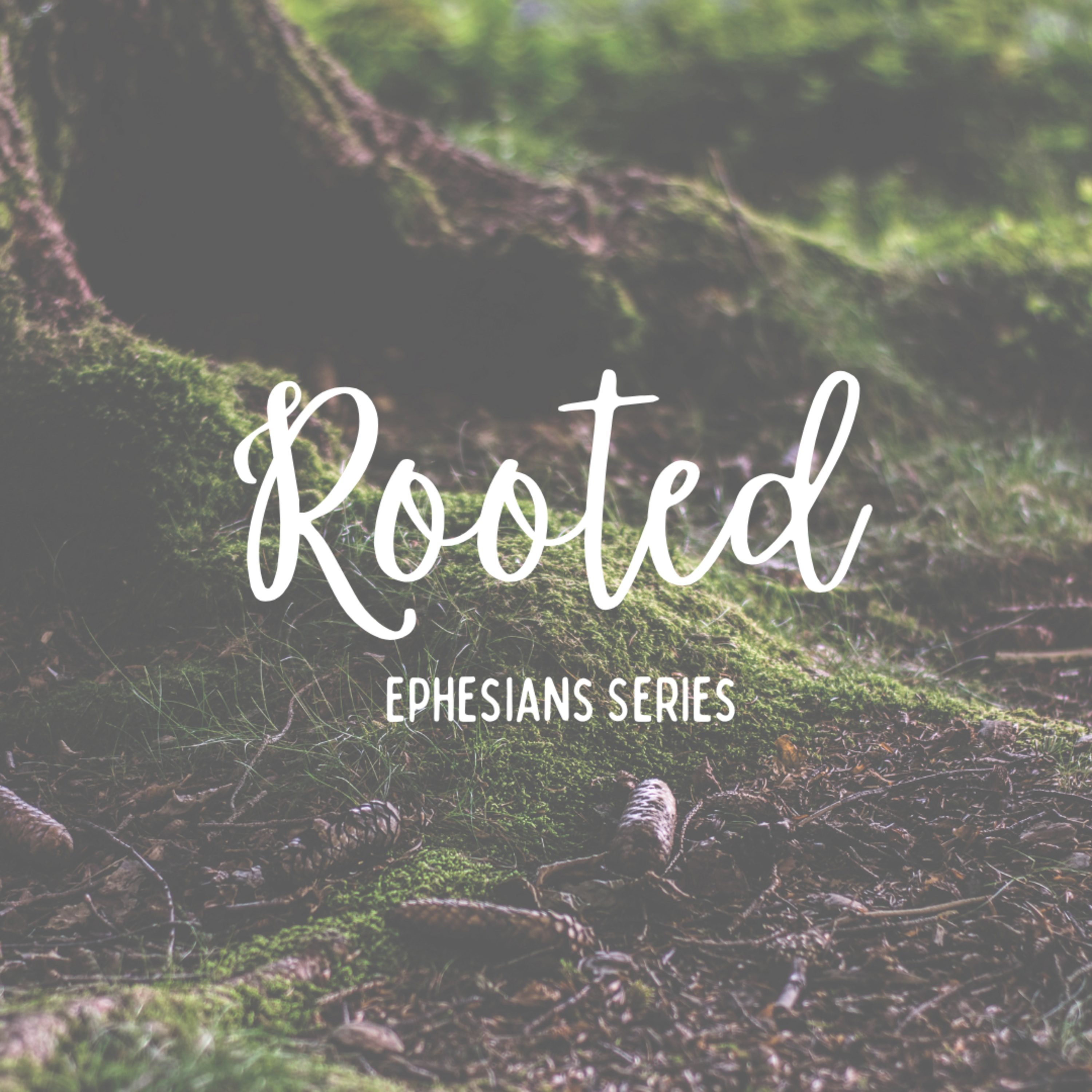 Rooted 17 Ephesians 6:1-9 Children and parents, slaves and masters episode artwork