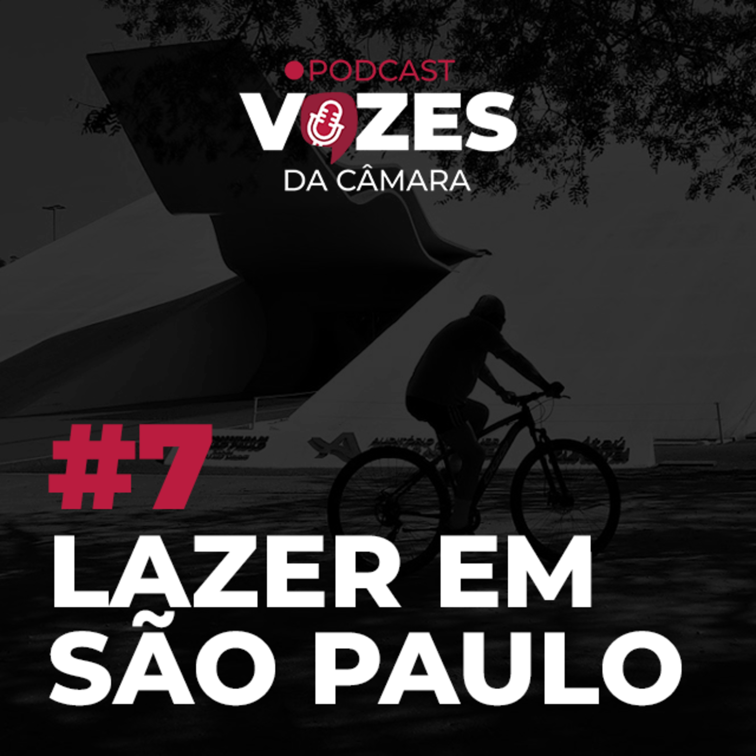 Vozes da Câmara