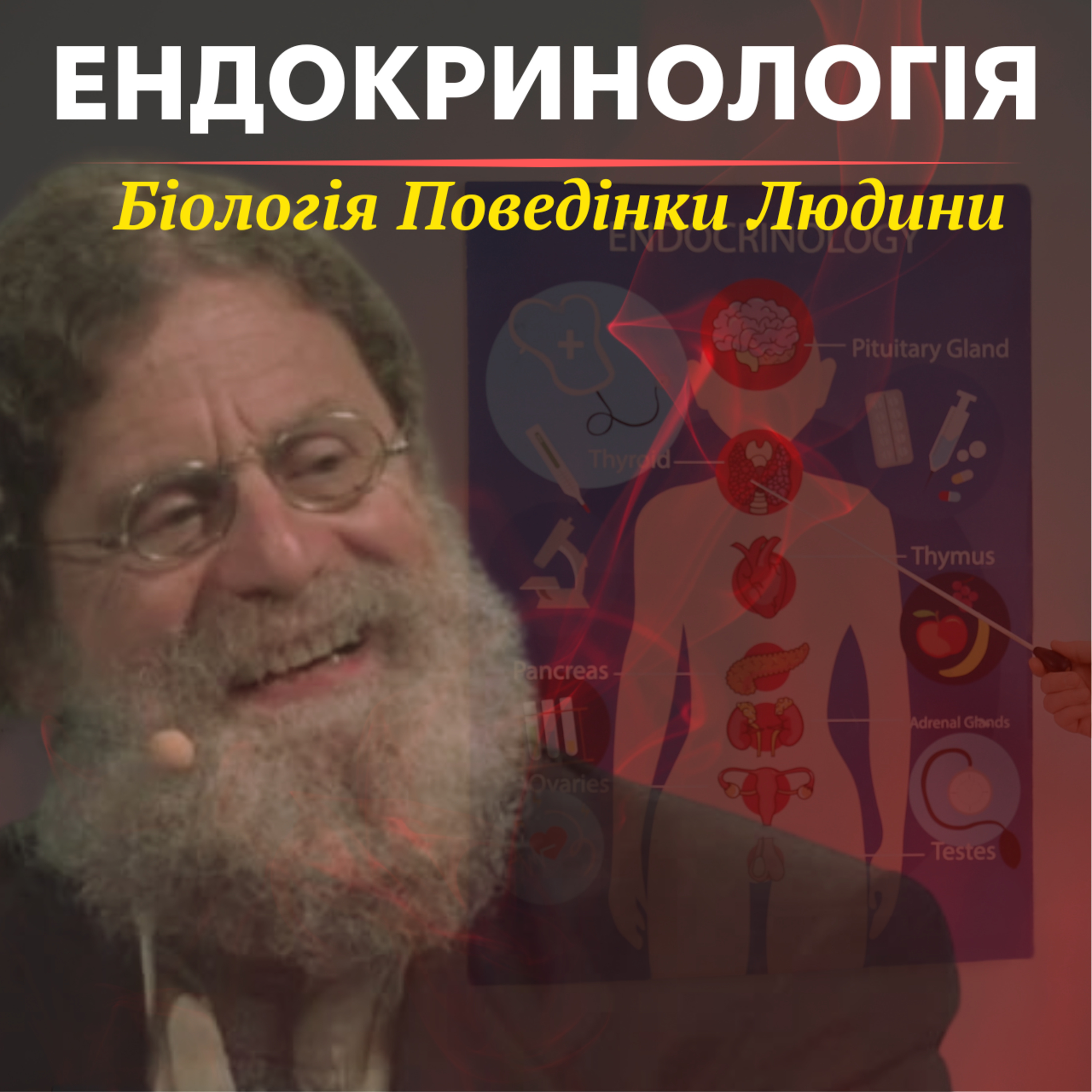 Ендокринологія. Лекція 12