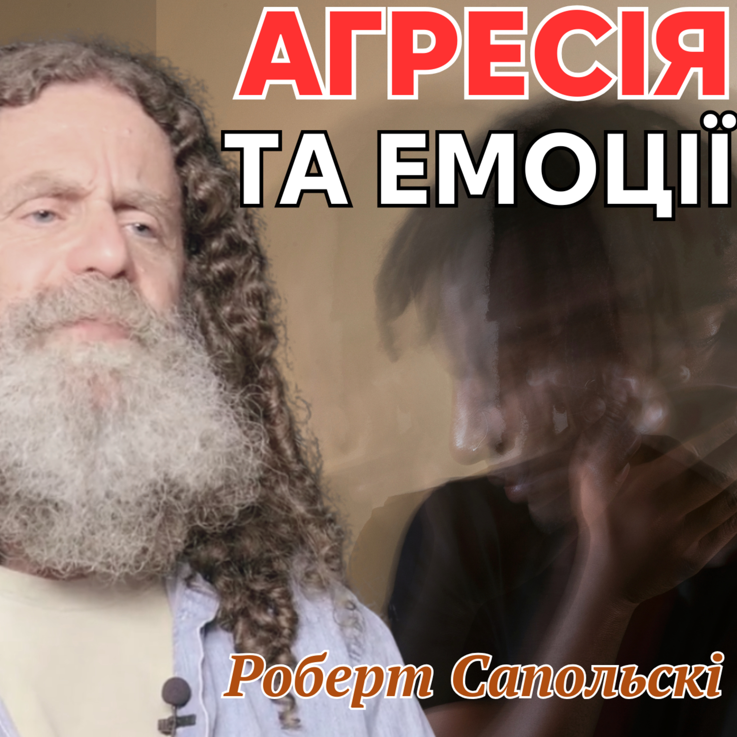 Агресія та емоції в нашому тілі. Лекція 18