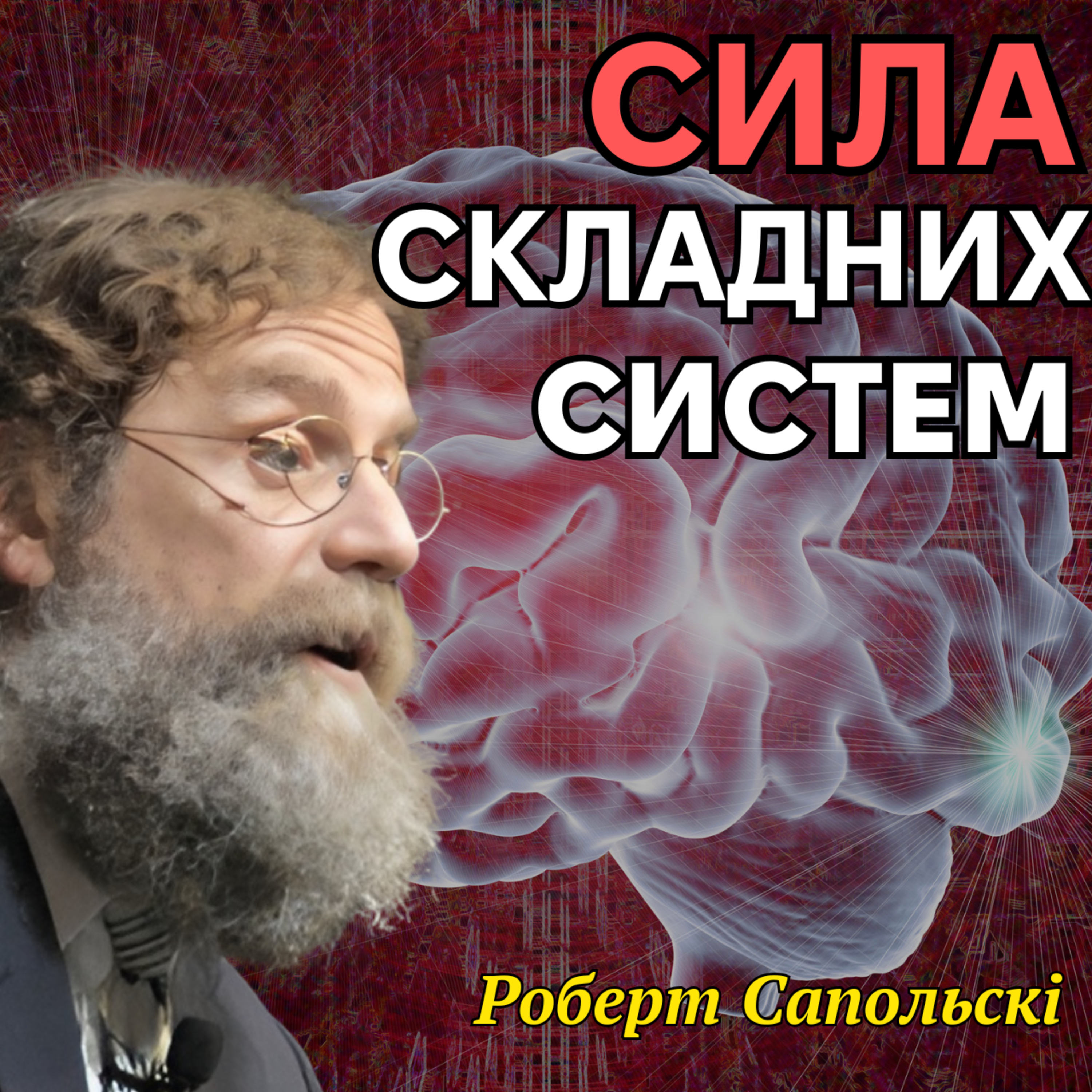 Емерджентність та складність. Лекція 22