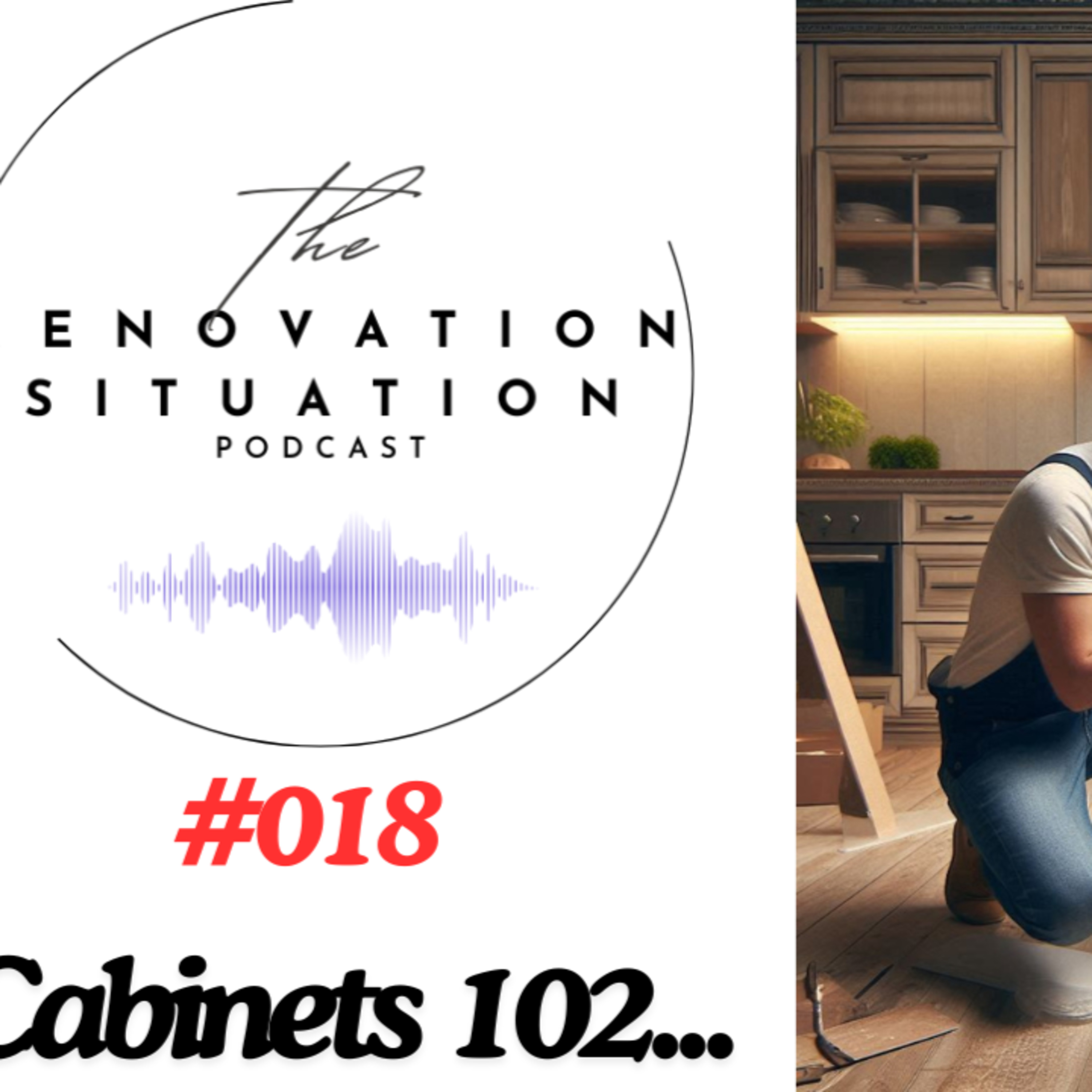 018 Cabinets 102 episode artwork